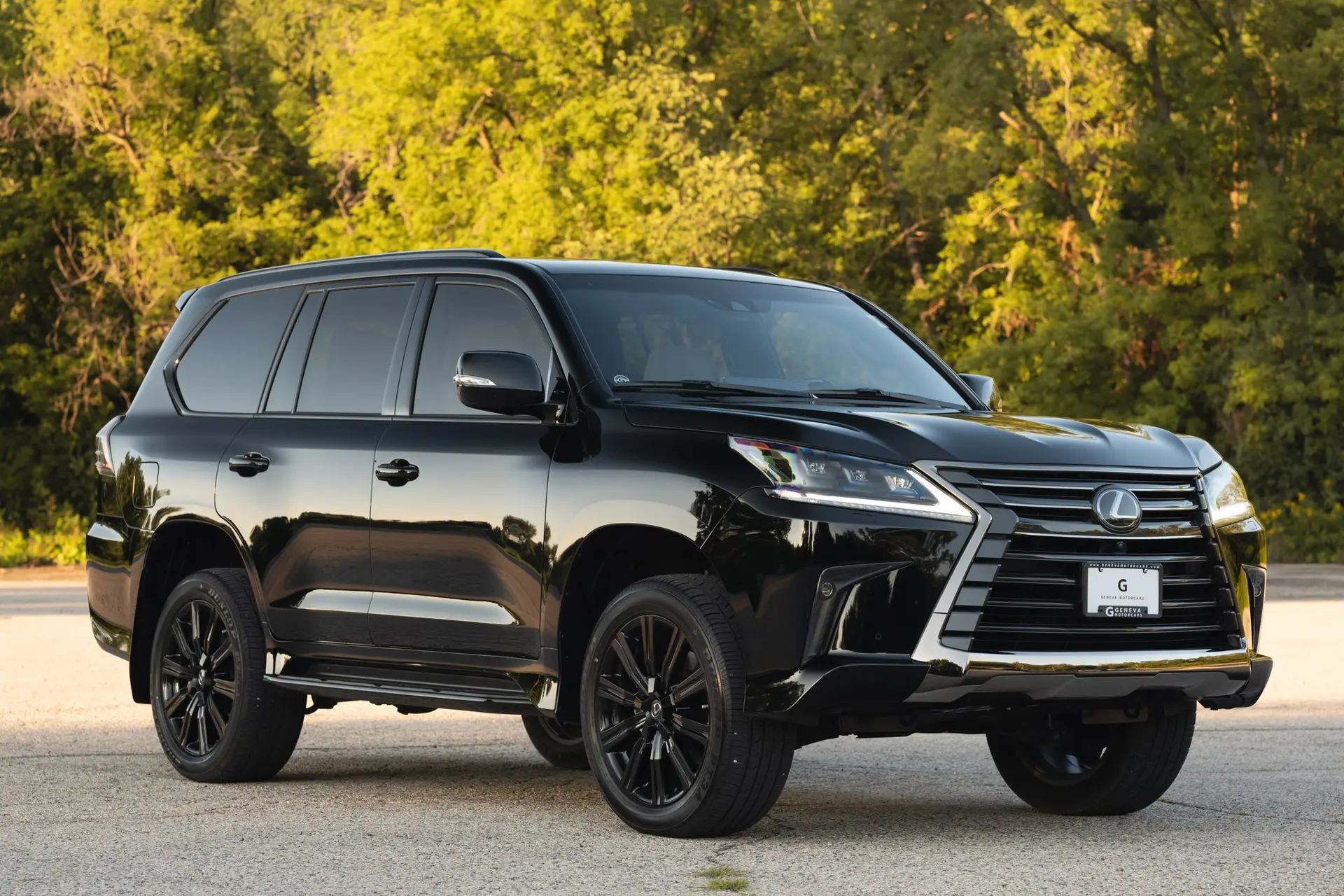 2019 Lexus LX