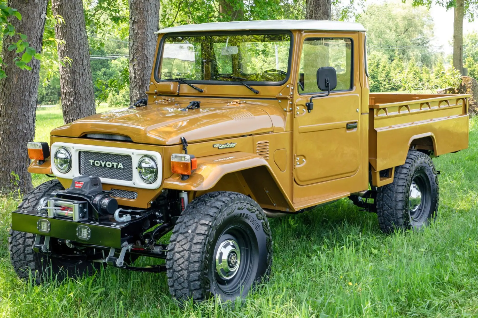 1981 Toyota Land Cruiser
