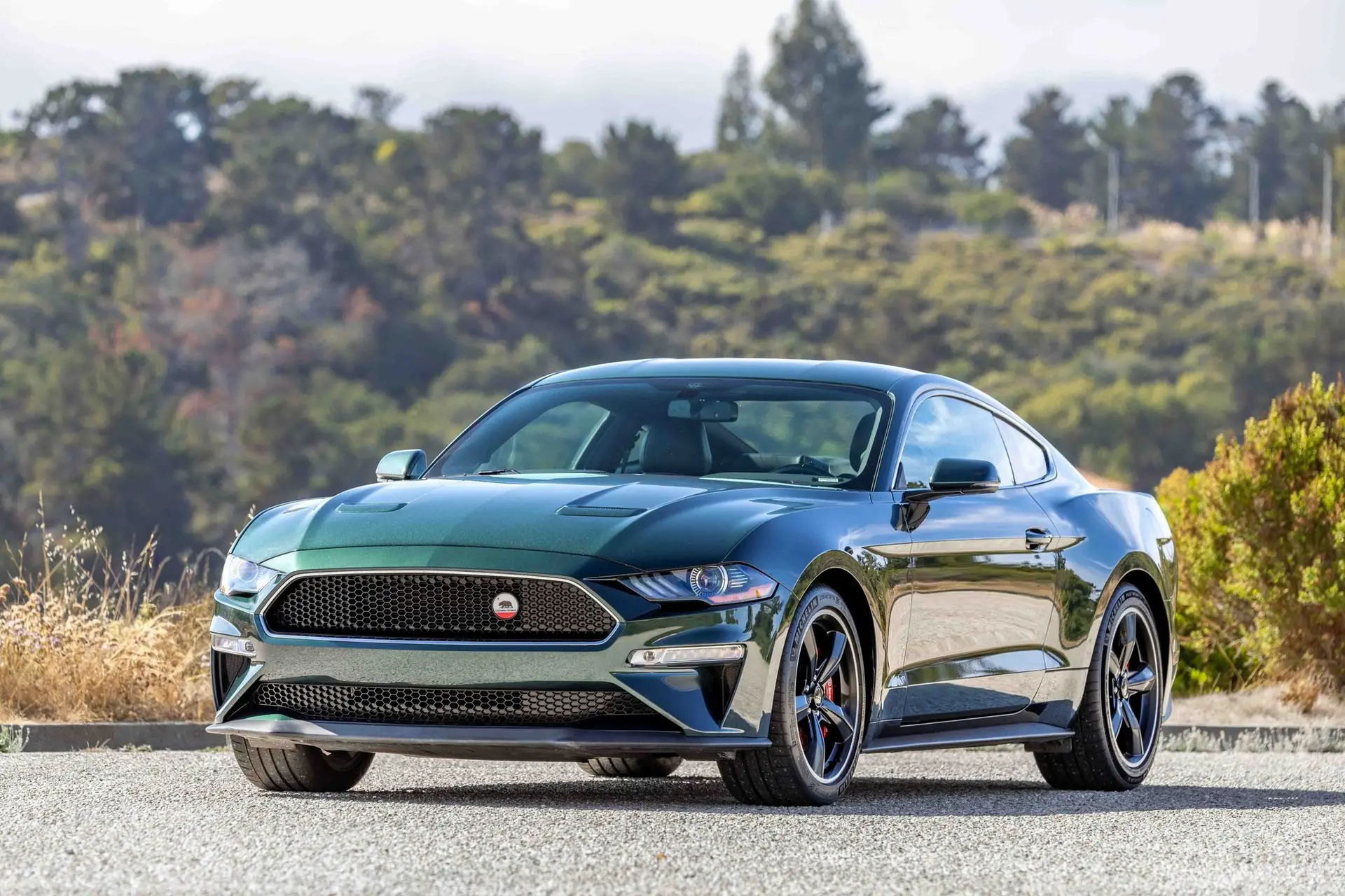 2019 Ford Mustang Bullitt