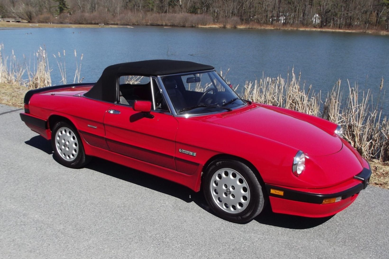 1987 Alfa Romeo 105 Series Spider