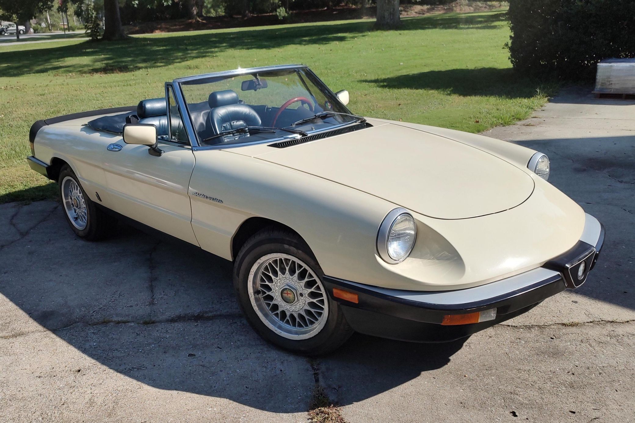 1984 Alfa Romeo Spider