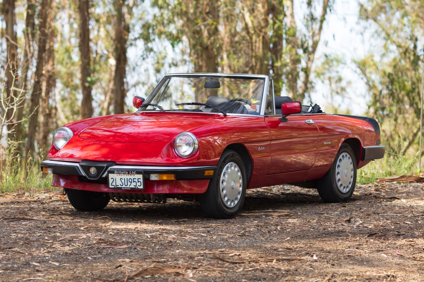 1989 Alfa Romeo 105 Series Spider