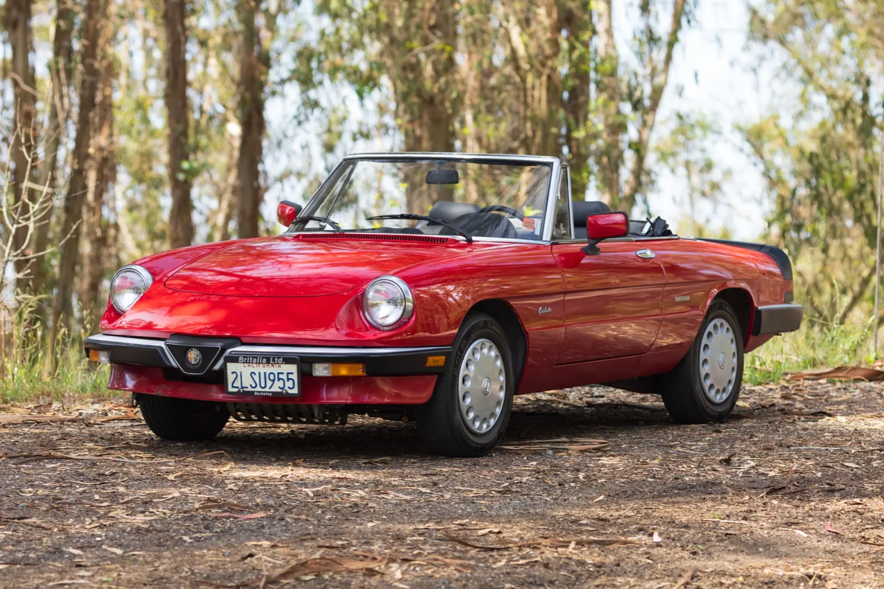 1989 Alfa Romeo 105 Series Spider
