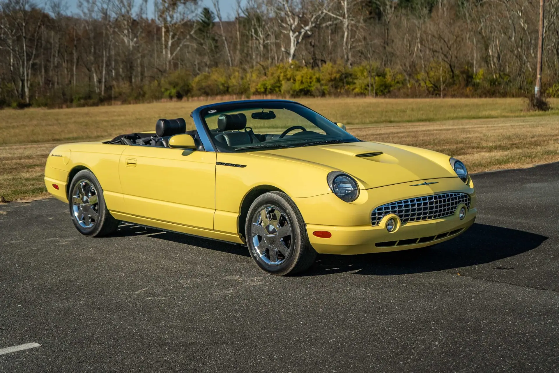 2002 Ford Thunderbird