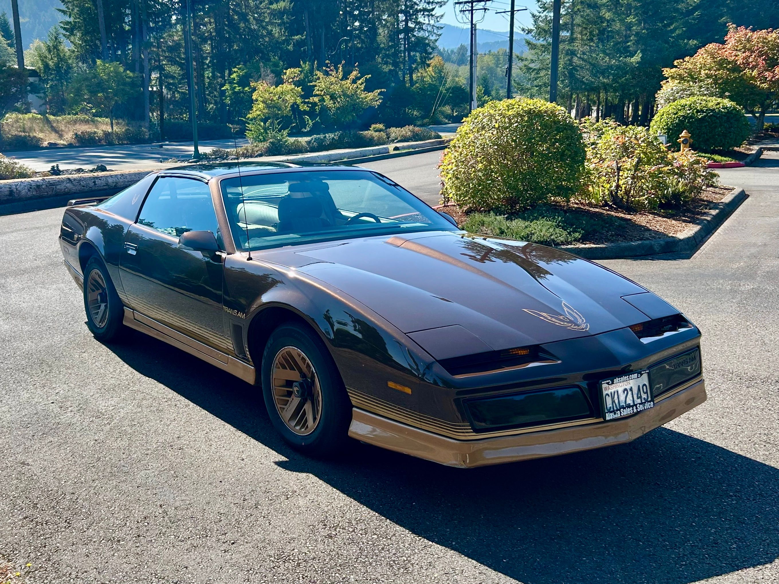 1984 Pontiac Firebird Trans Am