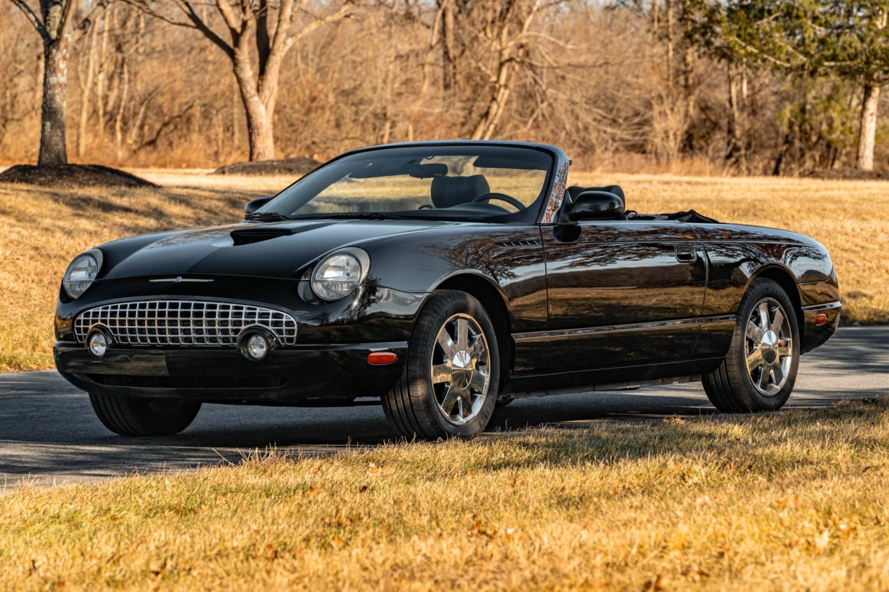 2002 Ford Thunderbird