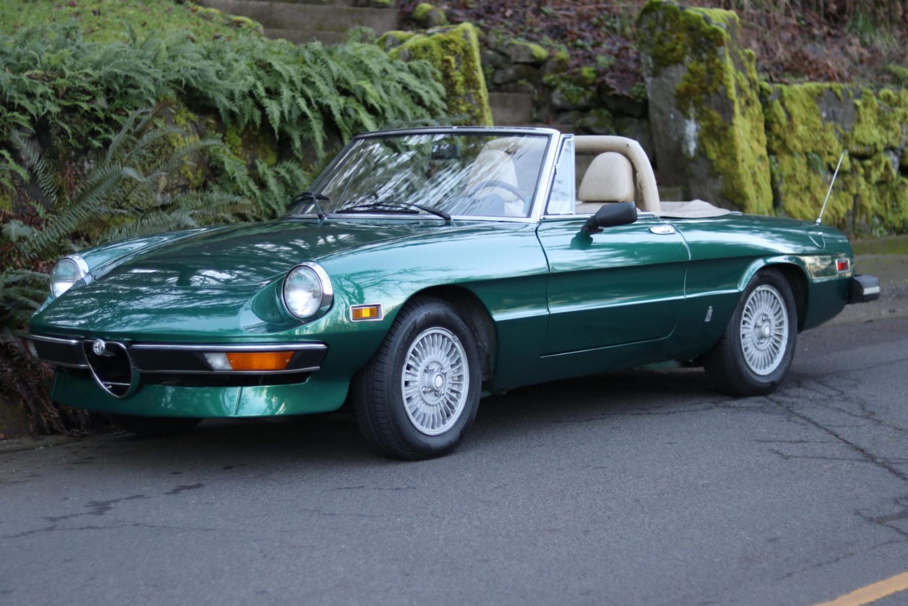 1978 Alfa Romeo 105 Series Spider