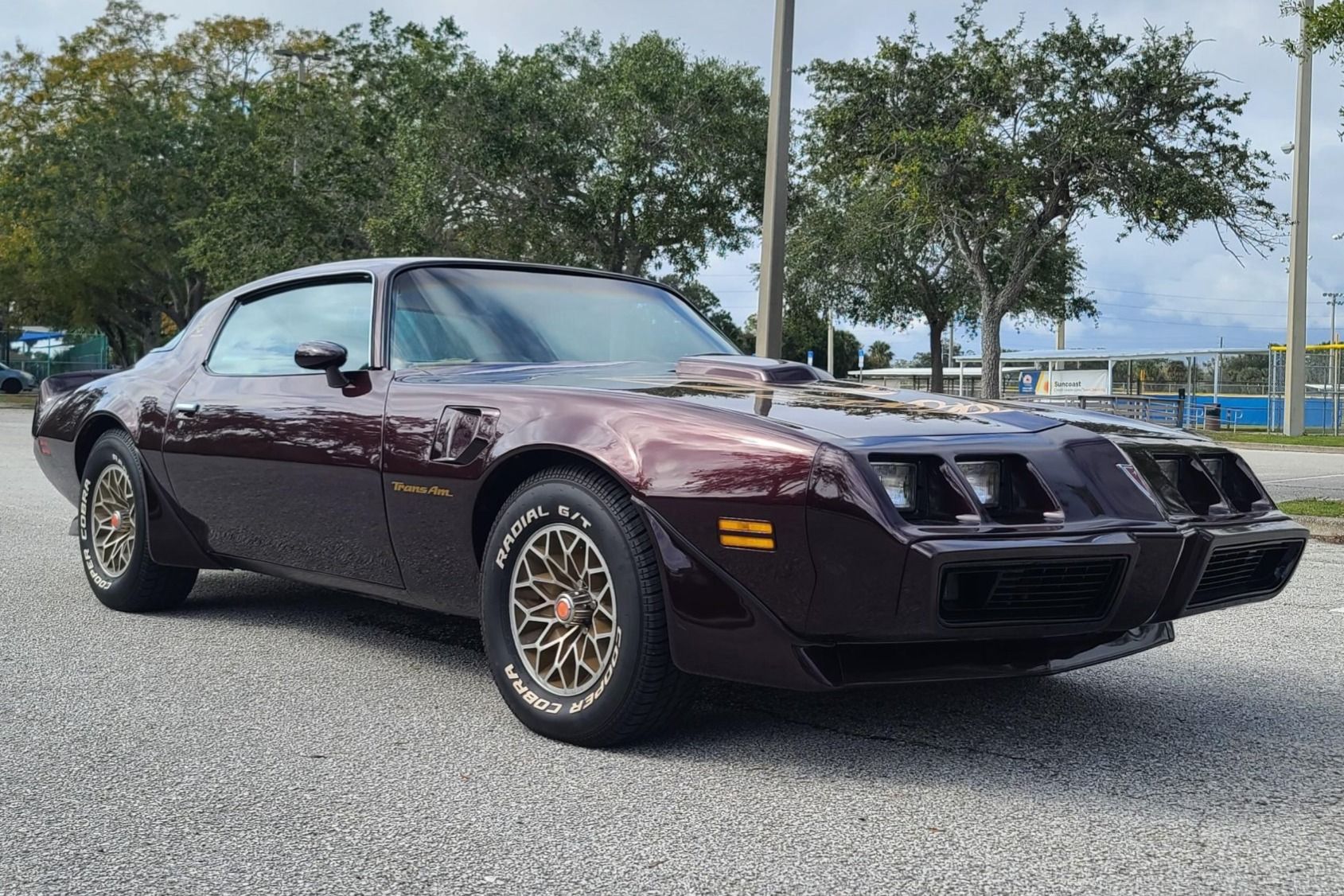 1980 Pontiac Firebird Trans Am