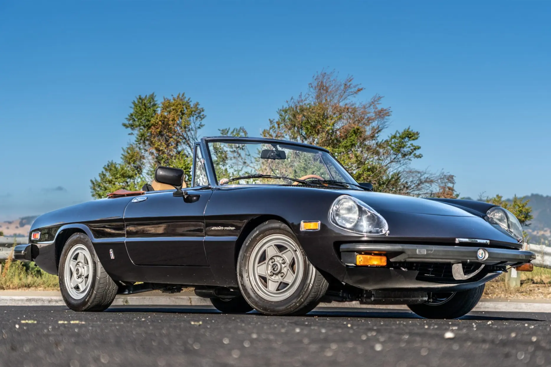 1982 Alfa Romeo Spider