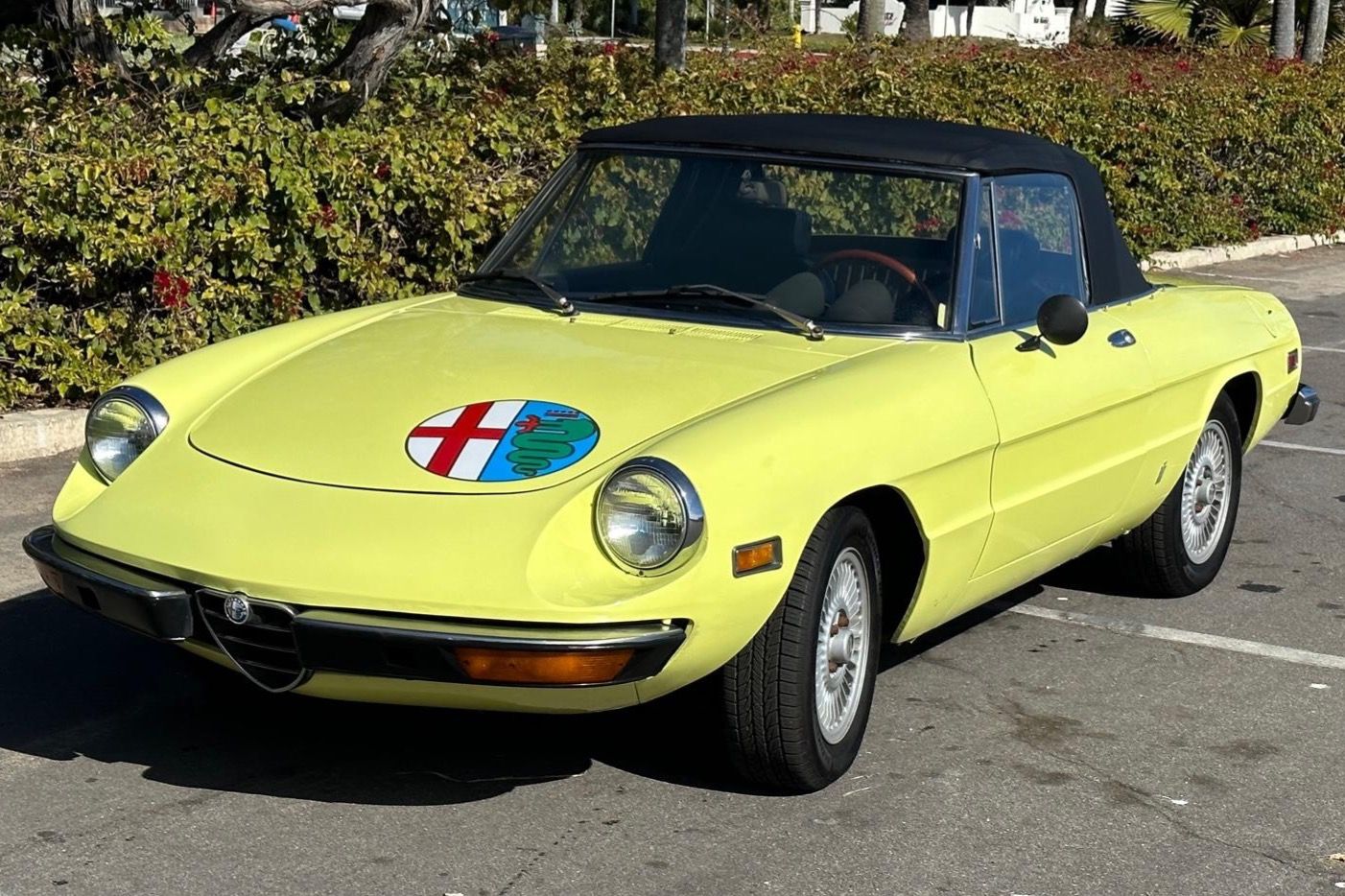 1974 Alfa Romeo 105 Series Spider