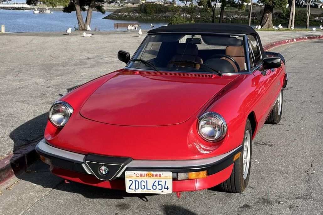 1986 Alfa Romeo Spider