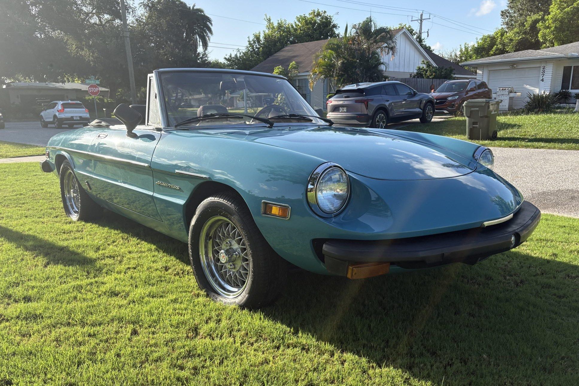 1980 Alfa Romeo 105 Series Spider