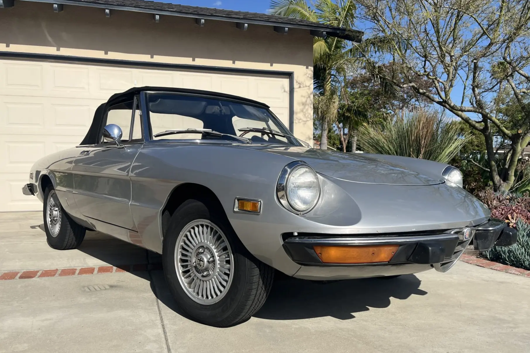 1974 Alfa Romeo 105 Series Spider