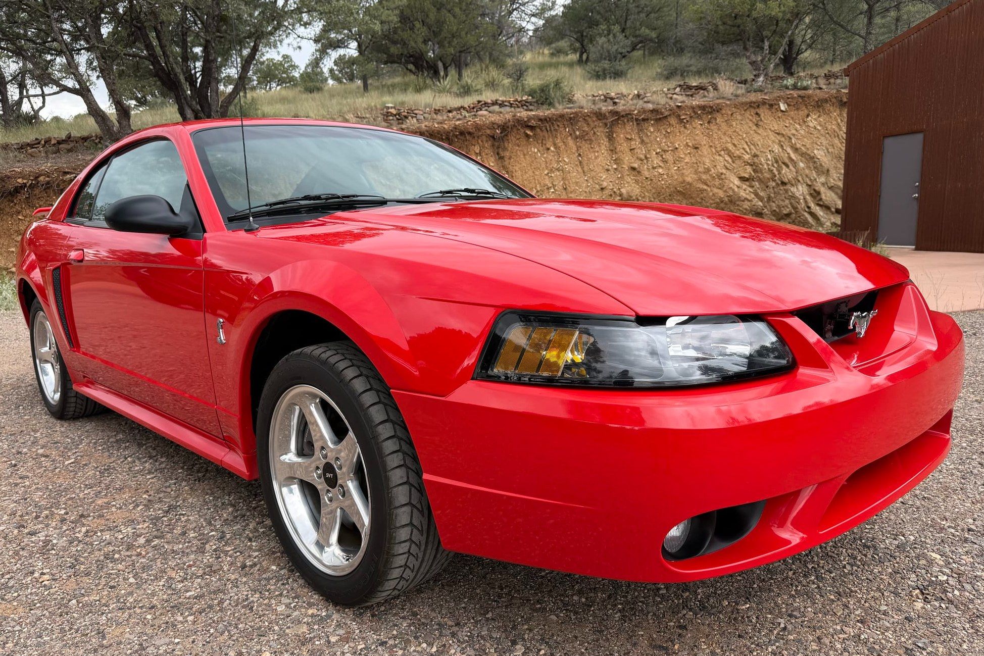 2001 Ford Mustang SVT Cobra