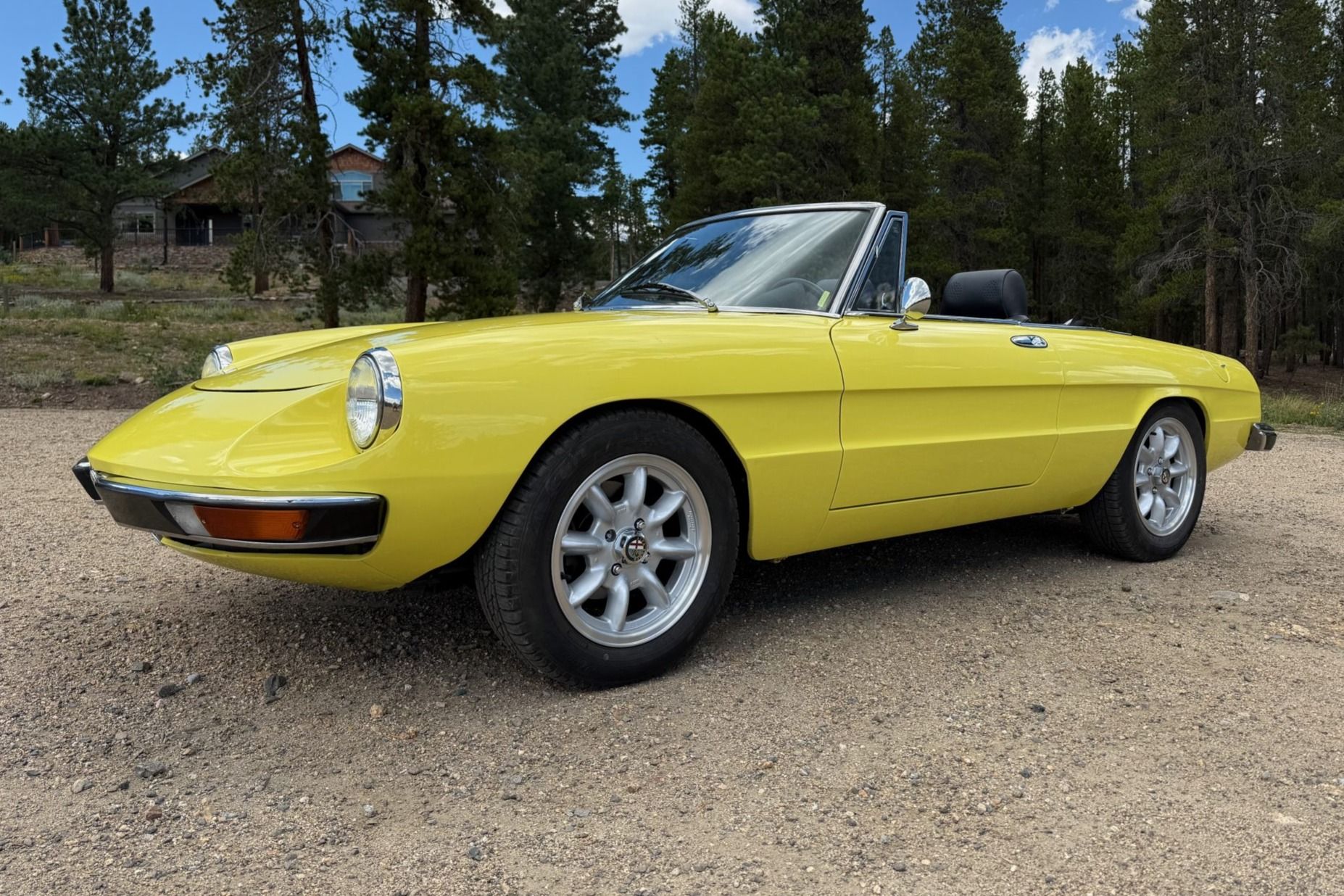 1974 Alfa Romeo 105 Series Spider
