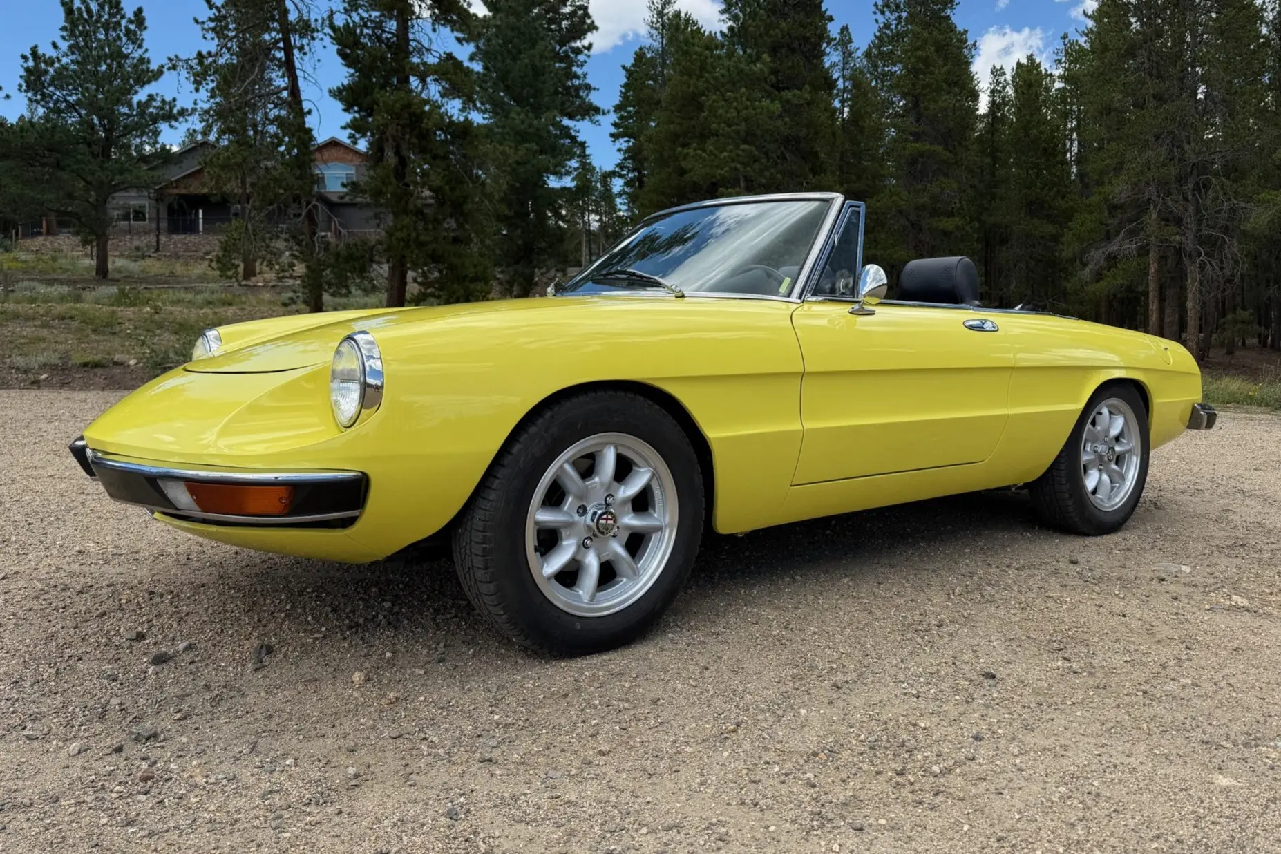 1974 Alfa Romeo 105 Series Spider