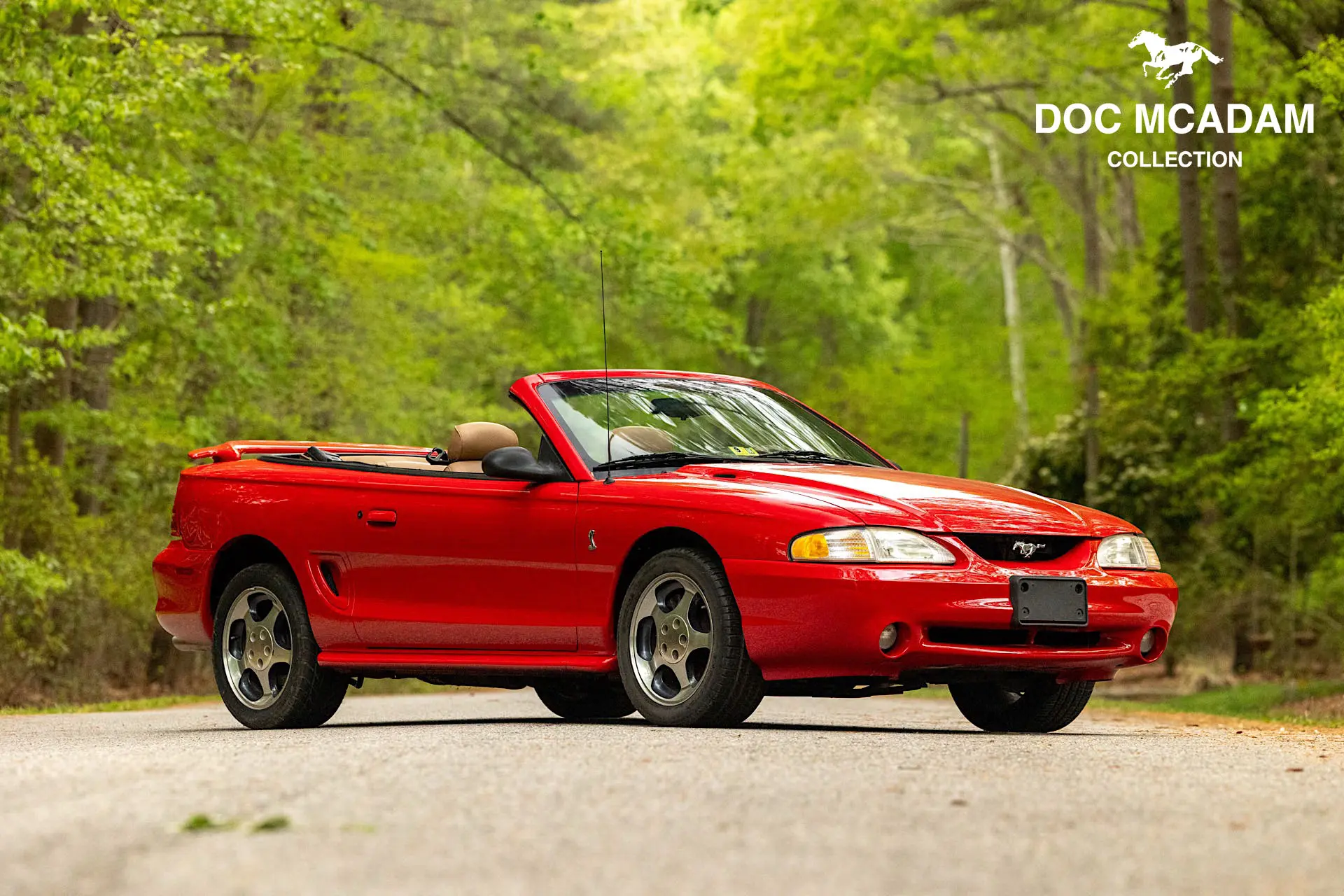 1994 Ford Mustang SVT Cobra Convertible