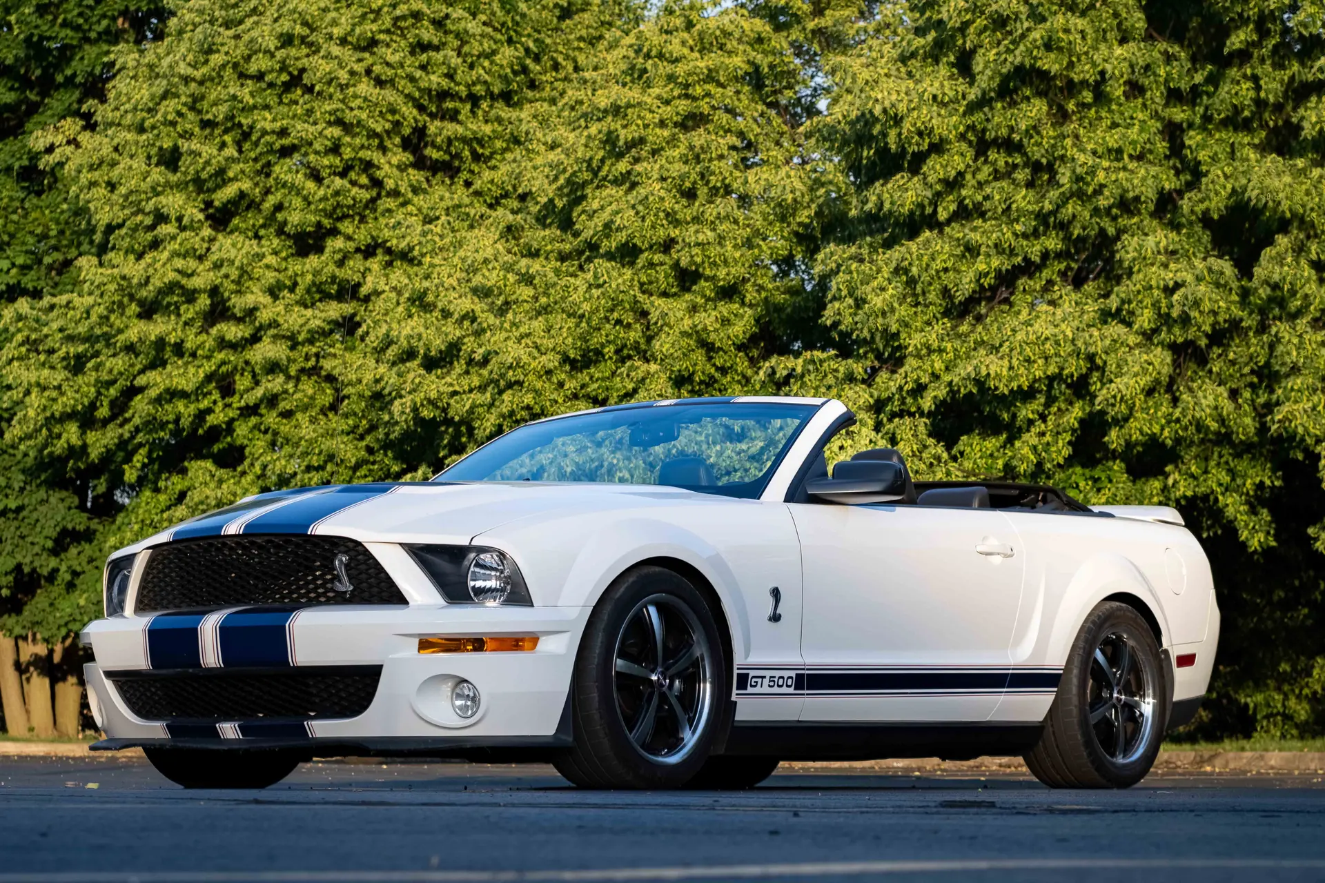 2007 Ford Mustang Shelby GT500