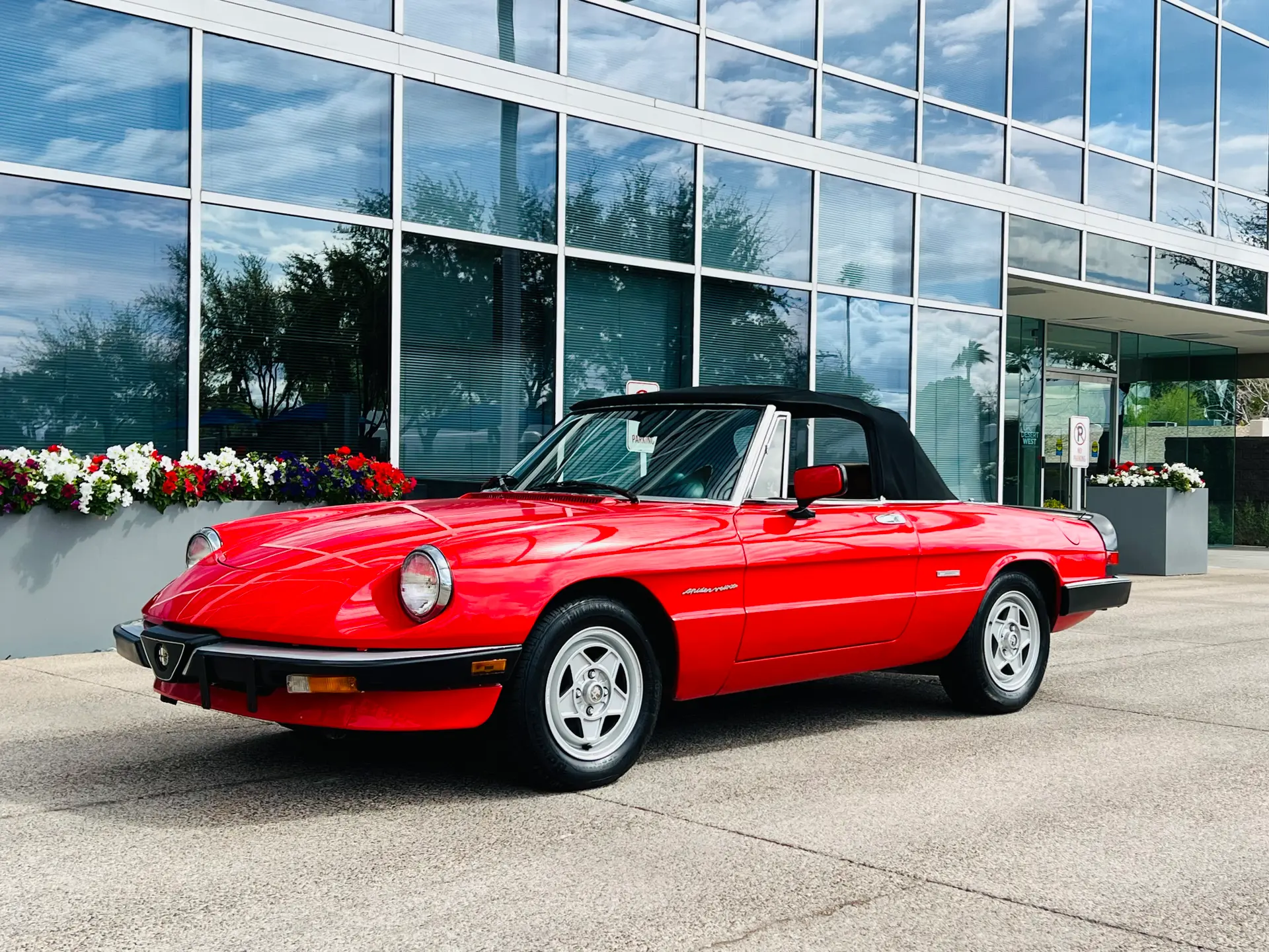 1988 Alfa Romeo Spider