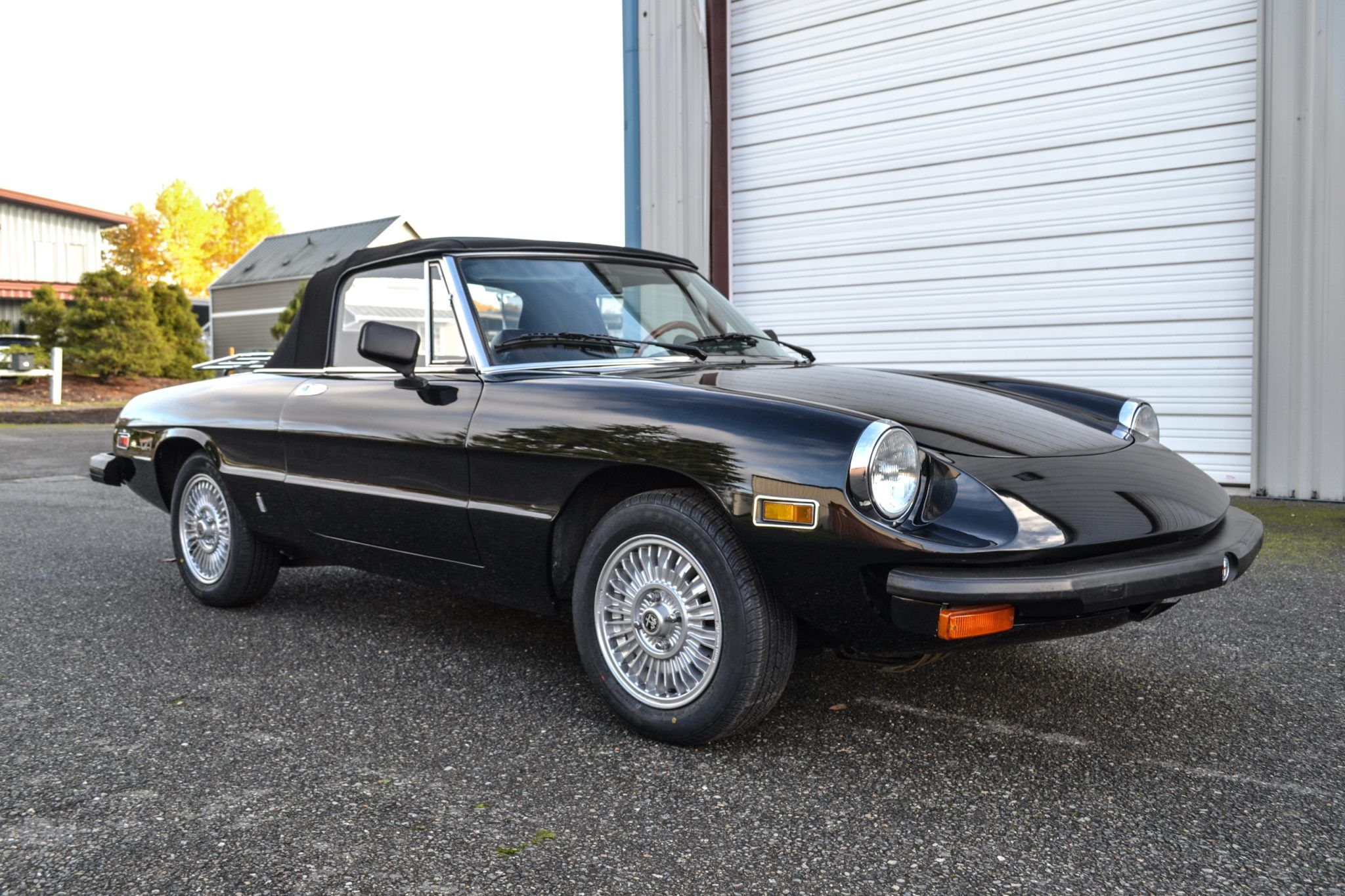 1978 Alfa Romeo 105 Series Spider