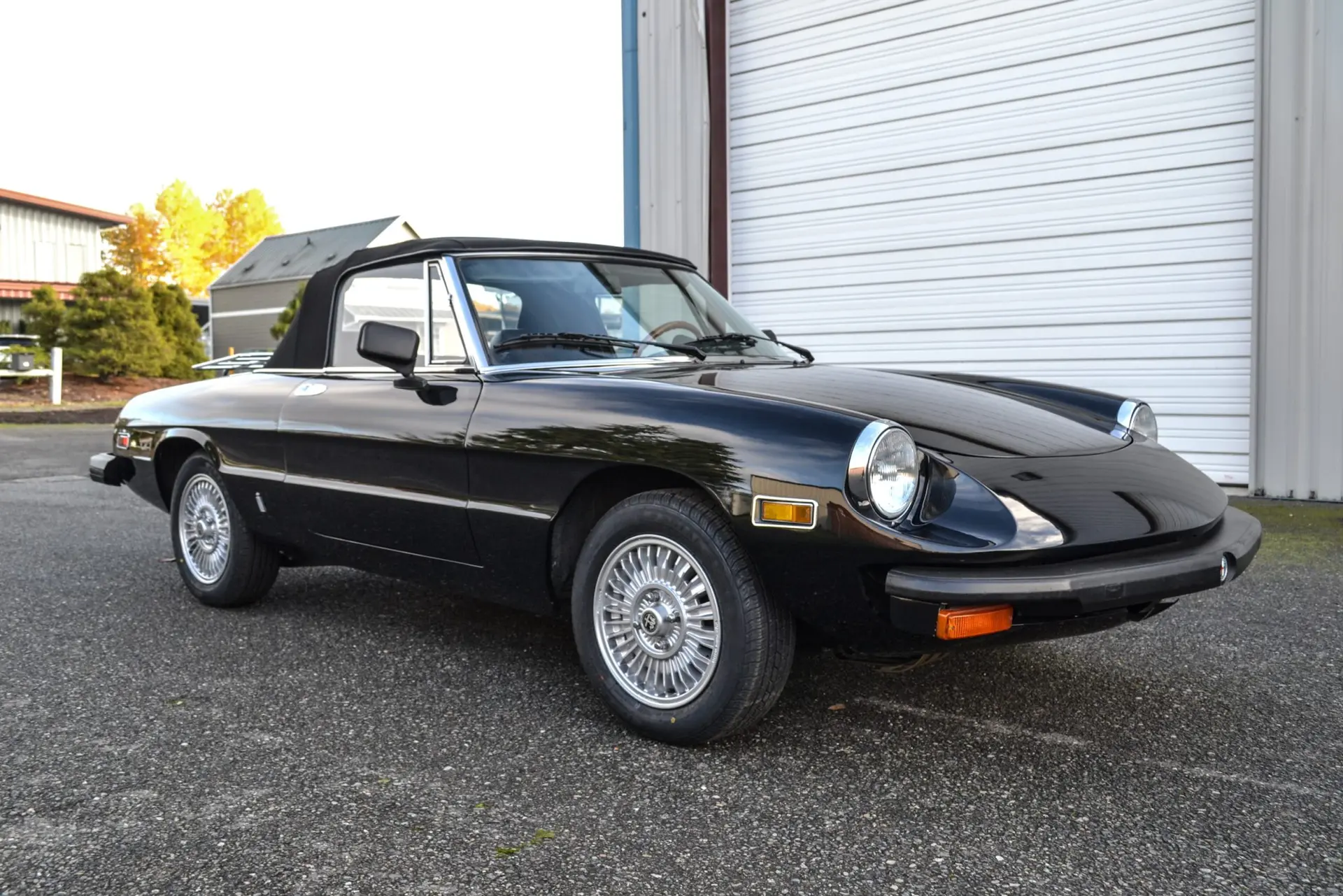 1978 Alfa Romeo 105 Series Spider