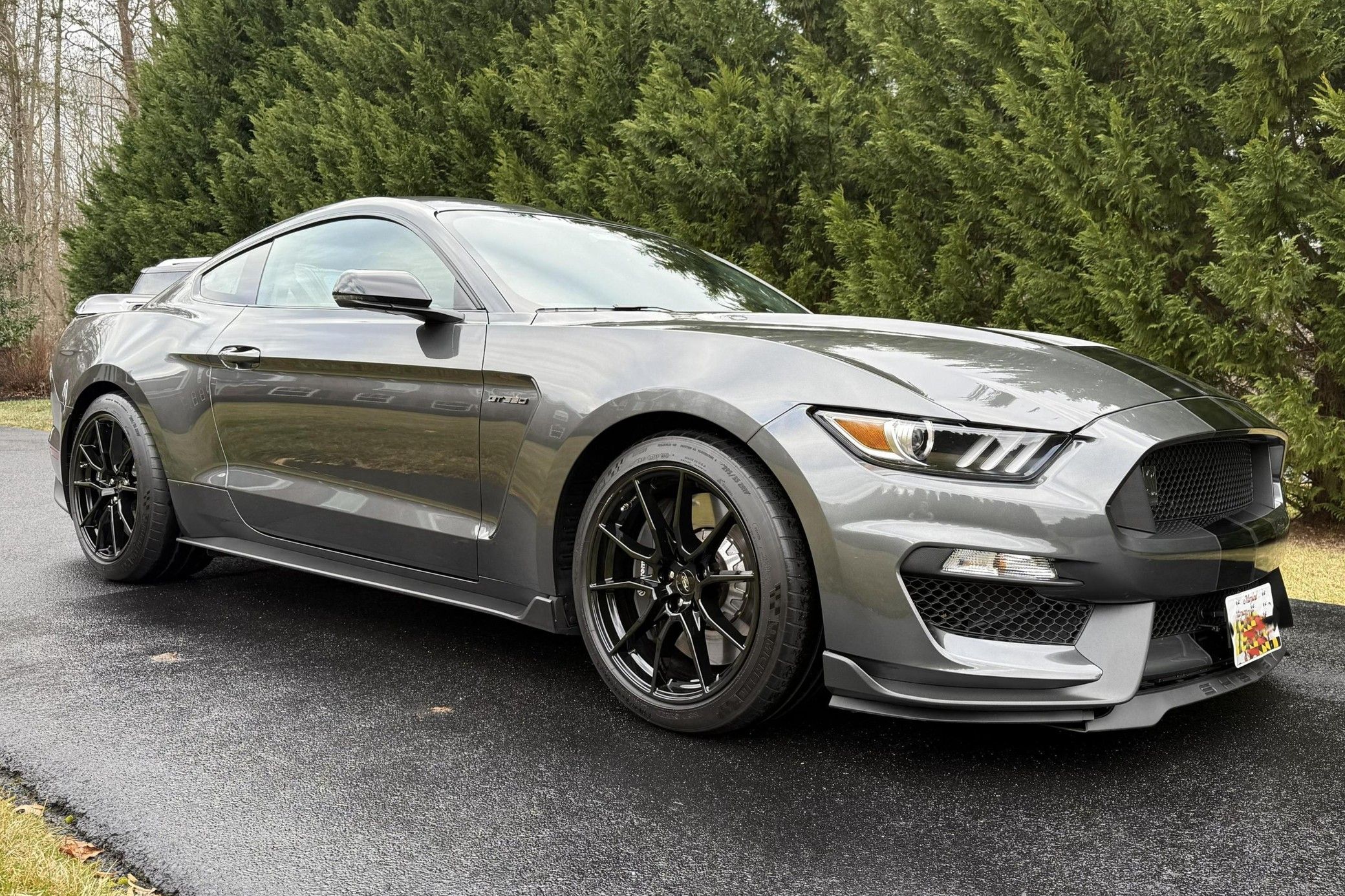 2019 Ford Mustang Shelby GT350