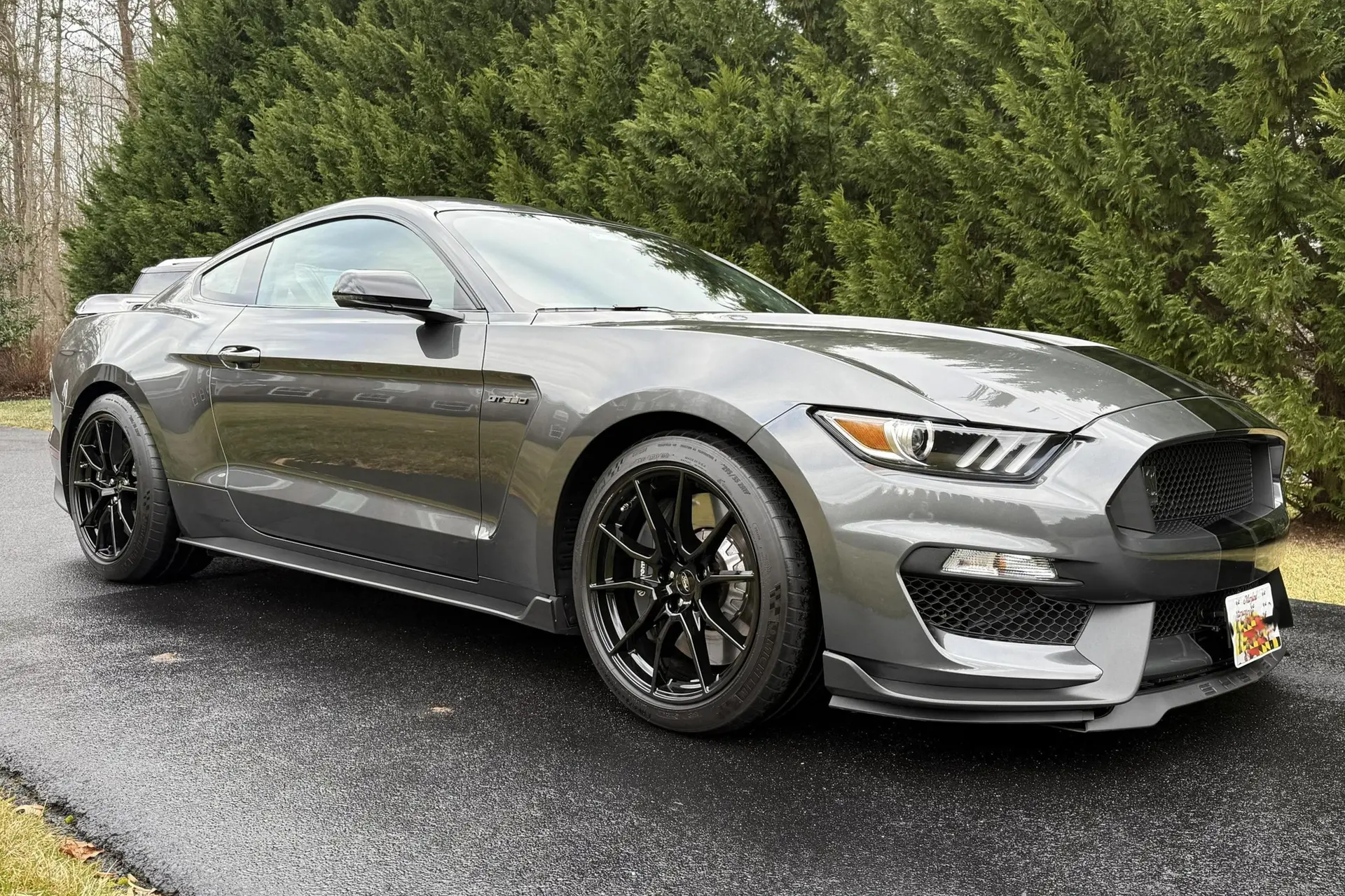 2019 Ford Mustang Shelby GT350