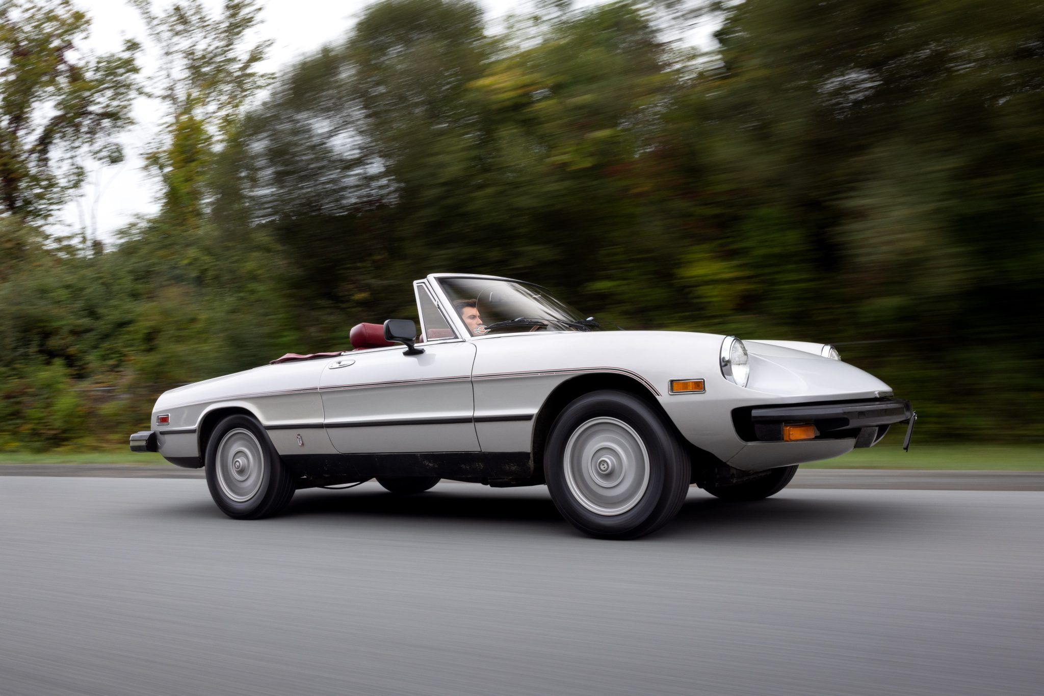 1981 Alfa Romeo 105 Series Spider
