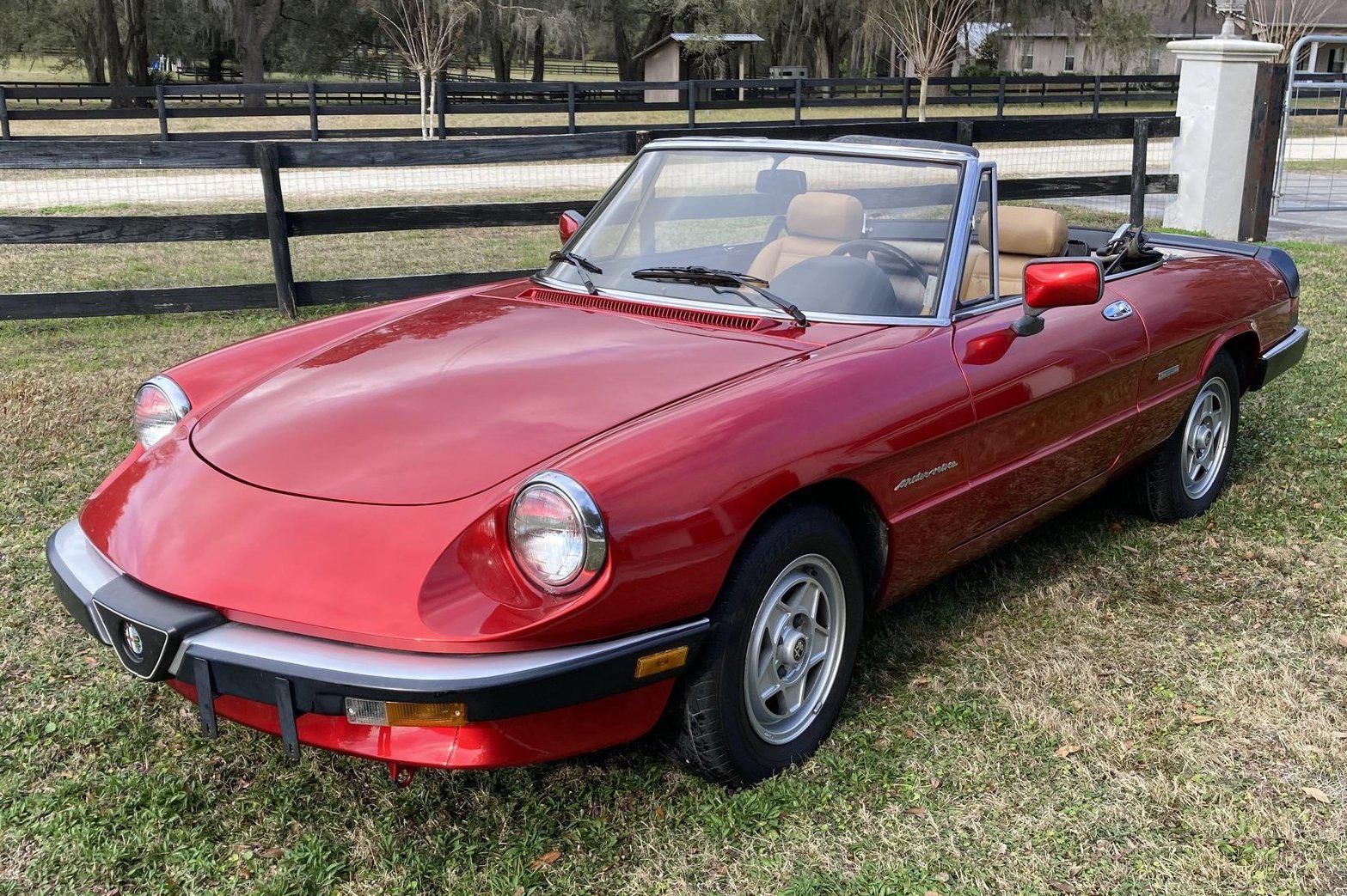 1986 Alfa Romeo Spider