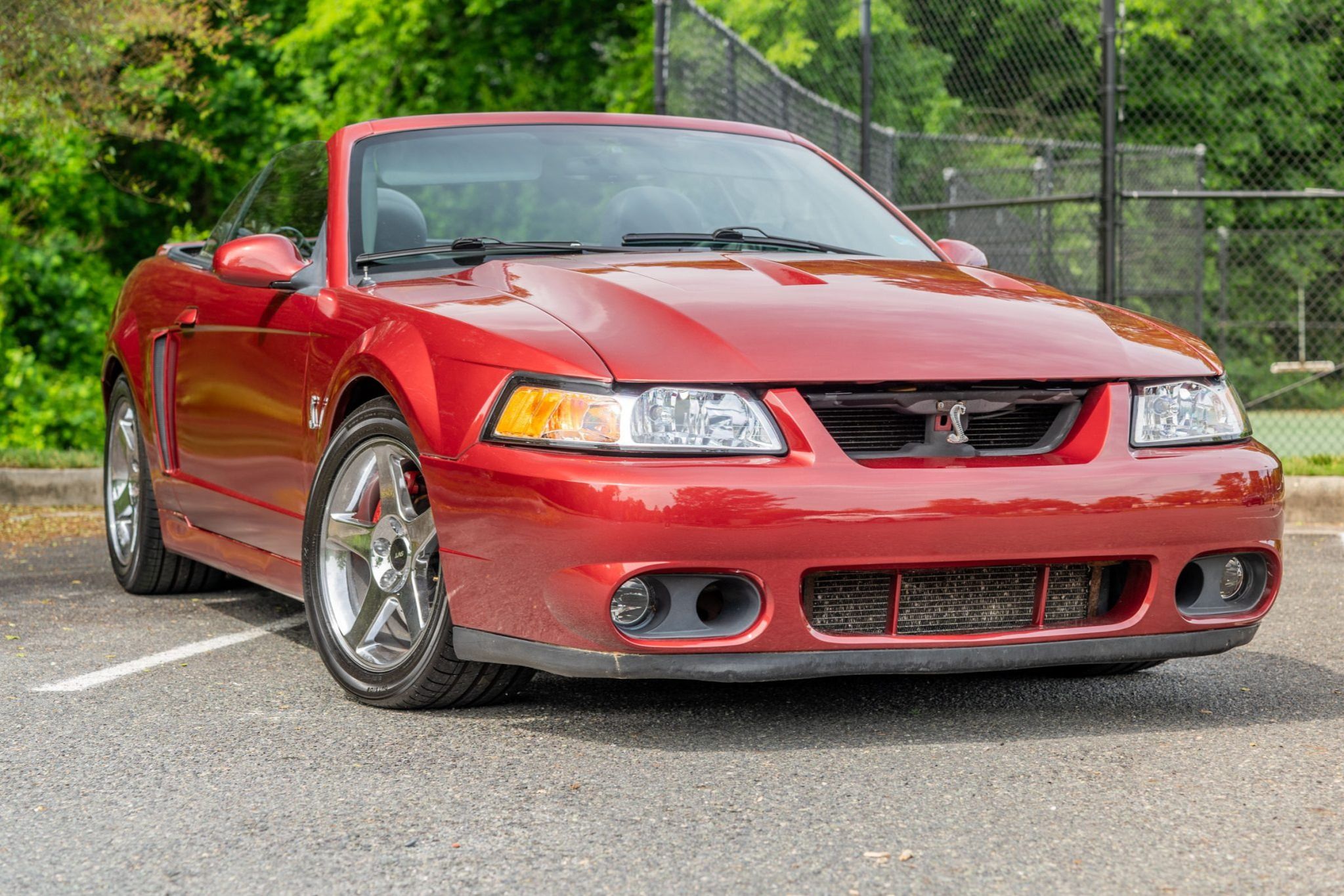 2003 Ford Mustang SVT Cobra Convertible
