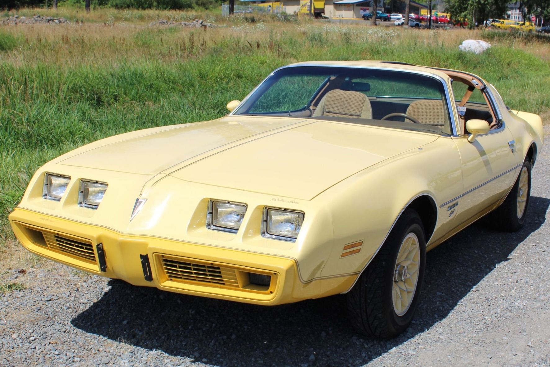 1980 Pontiac Firebird