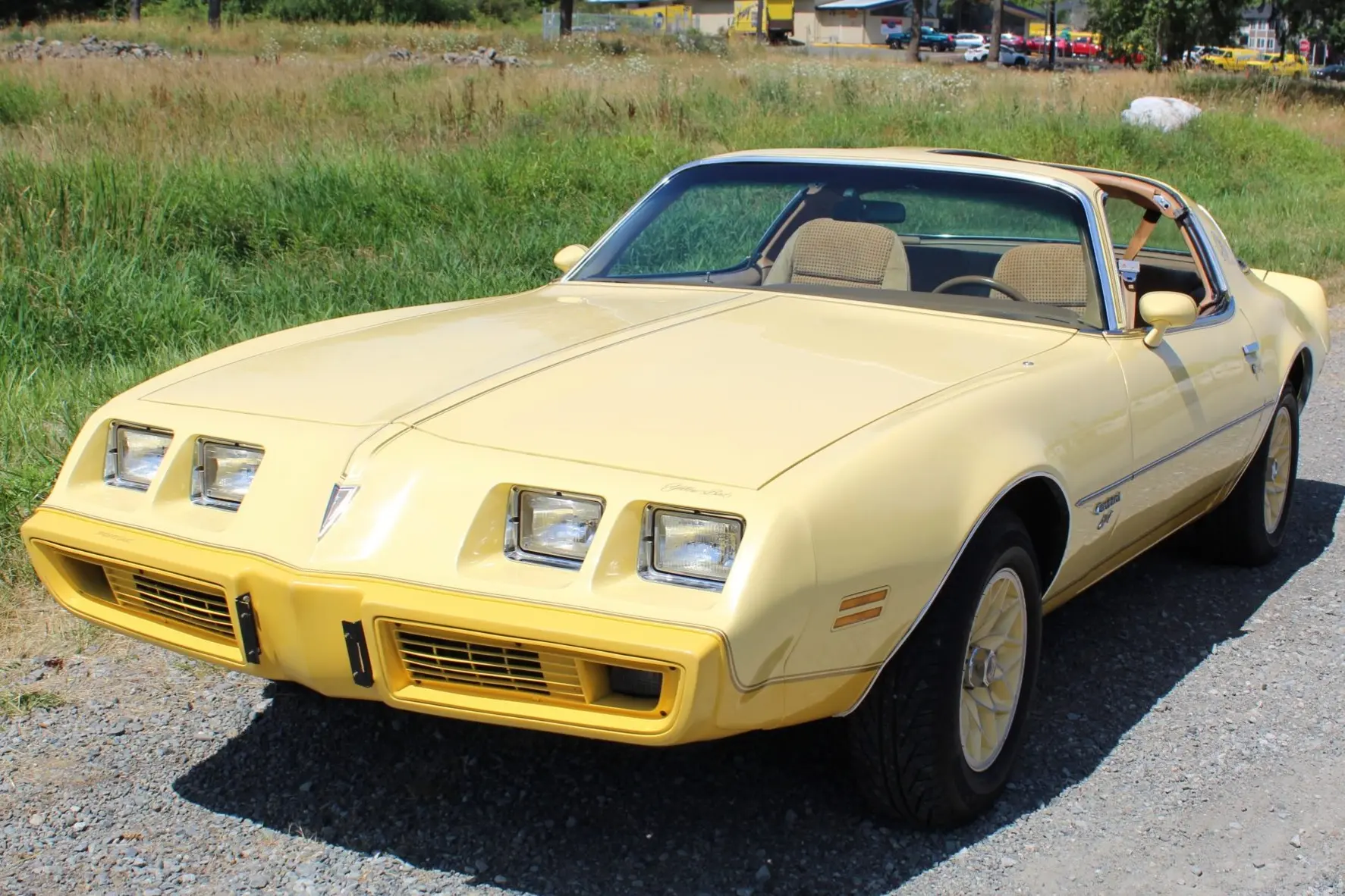 1980 Pontiac Firebird