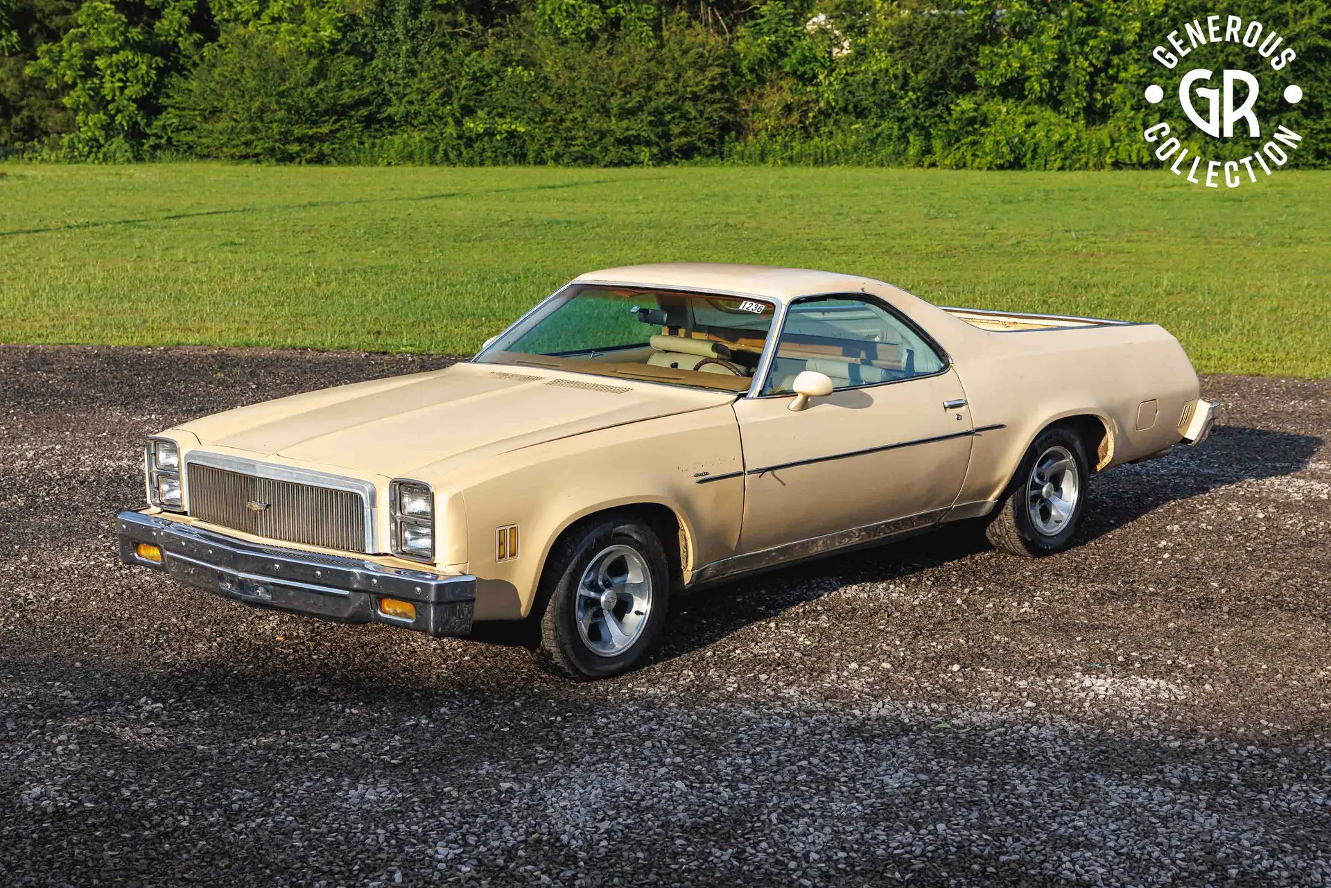 1973 Chevrolet El Camino