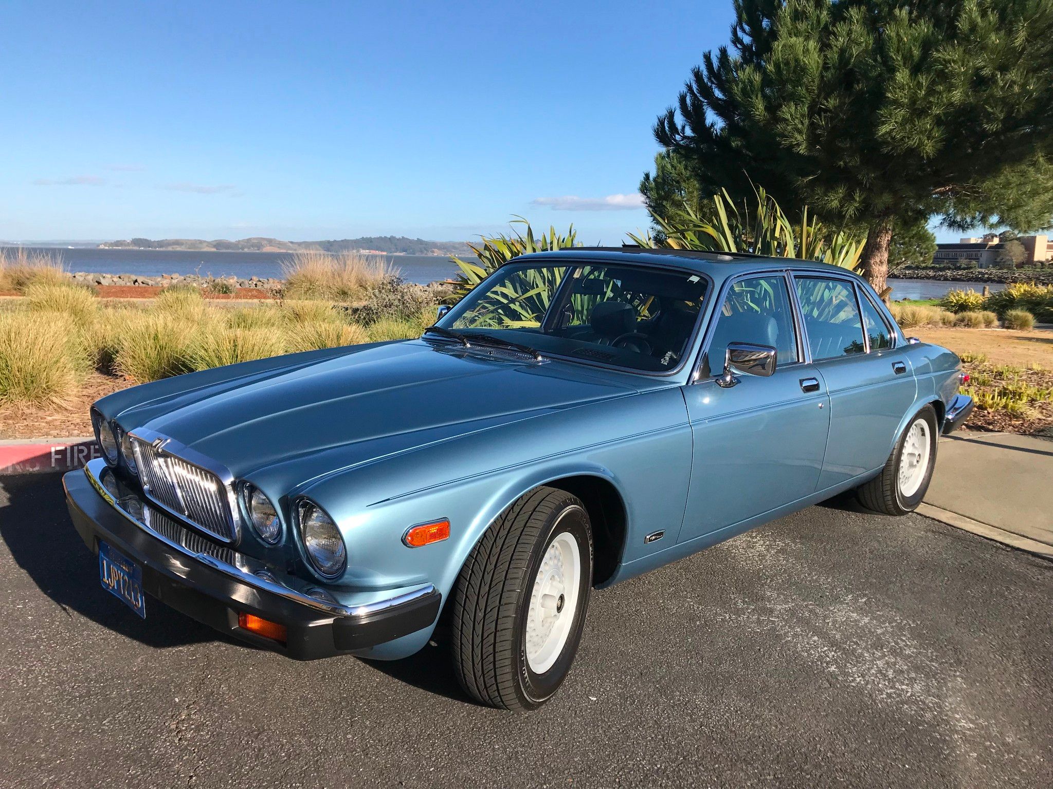 1984 Jaguar XJ