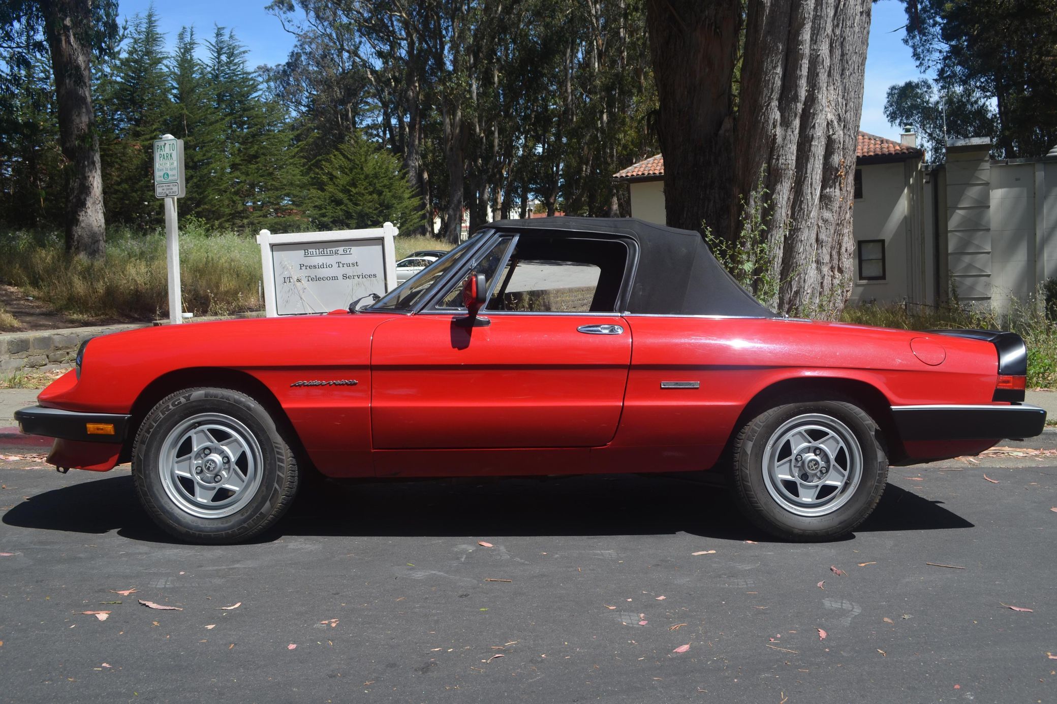 1986 Alfa Romeo Spider