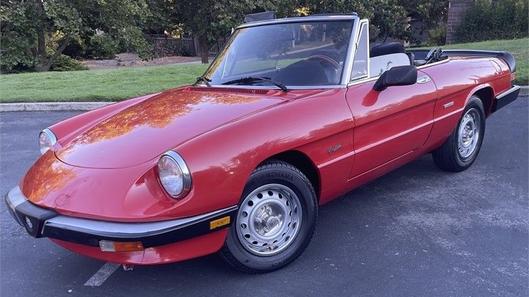 1986 Alfa Romeo Spider