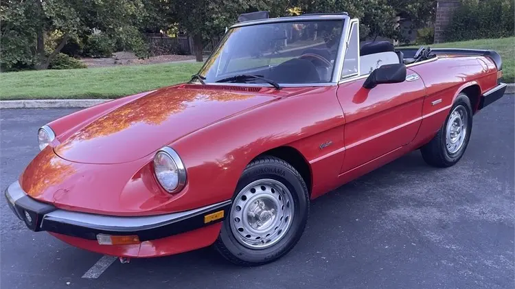 1986 Alfa Romeo Spider