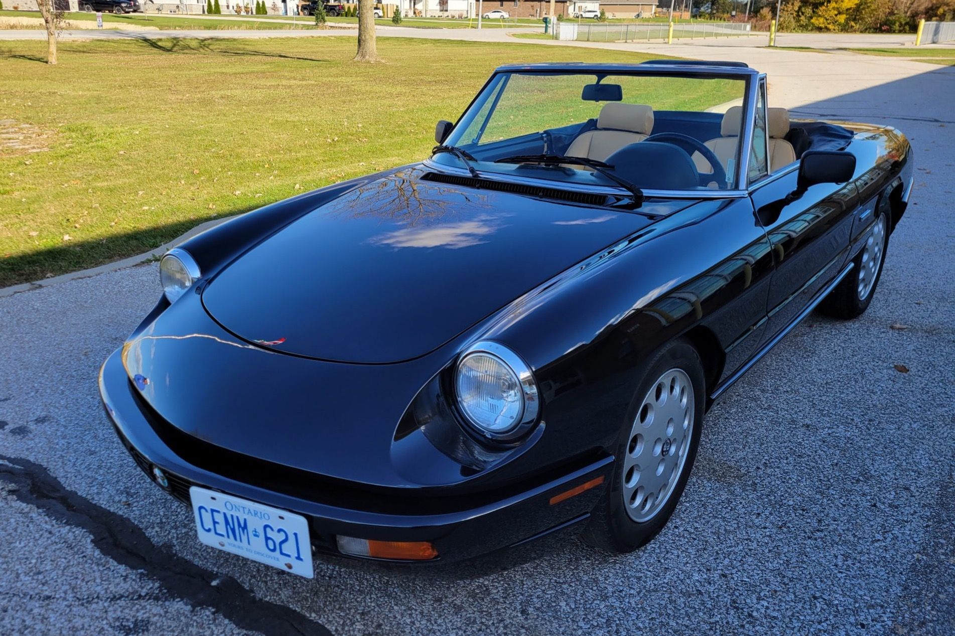 1991 Alfa Romeo Spider