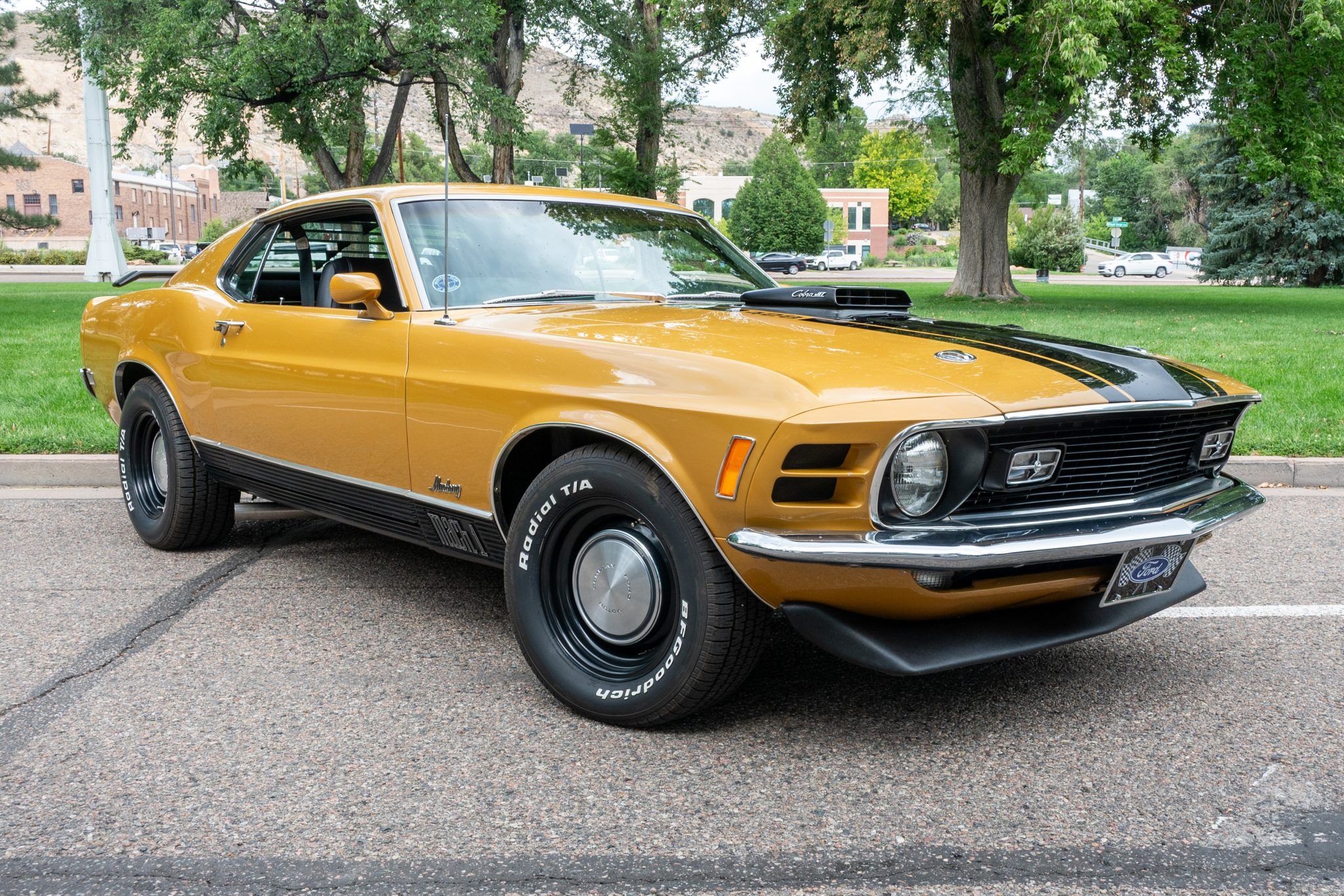 1970 Ford Mustang Mach 1