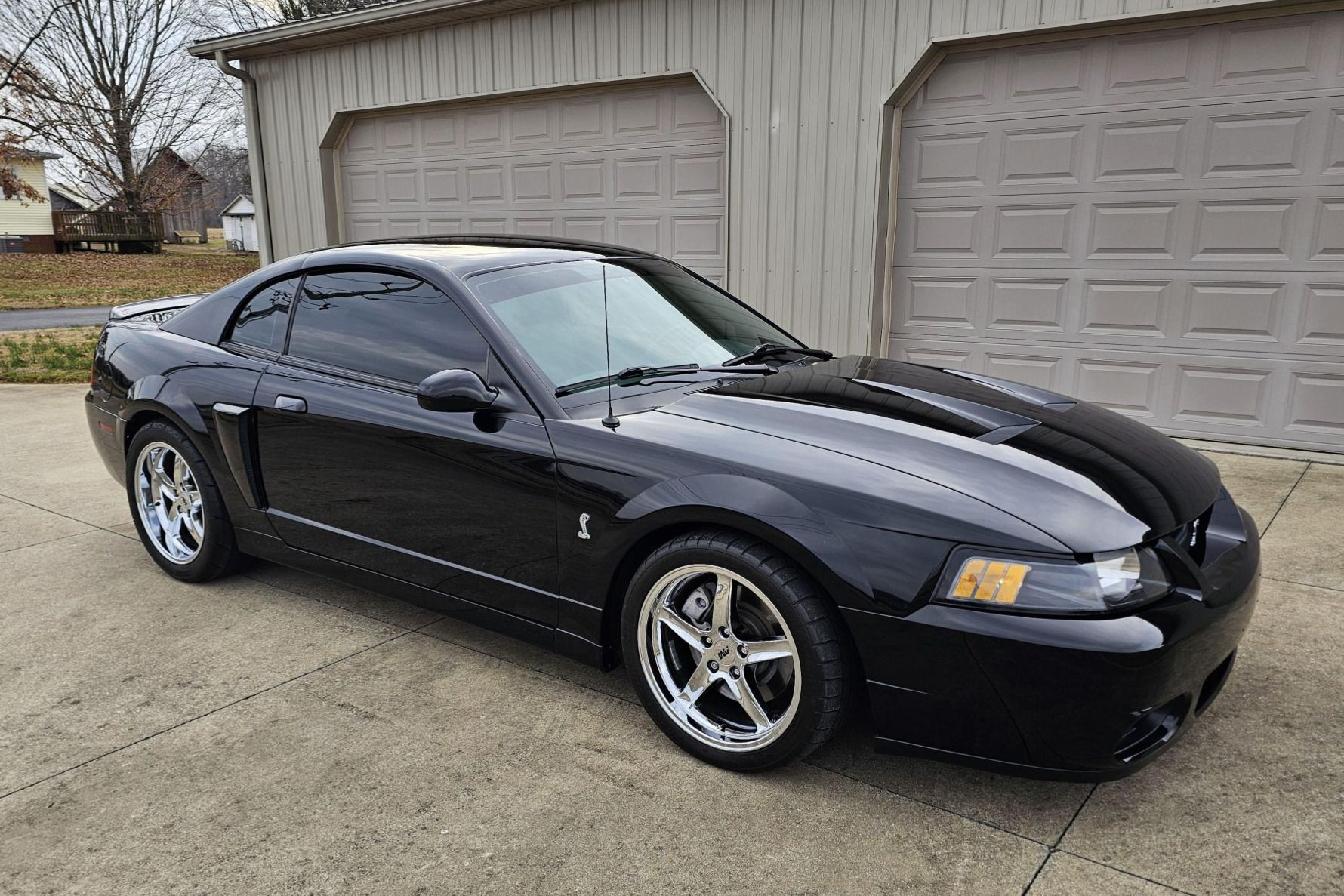 2003 Ford Mustang SVT Cobra