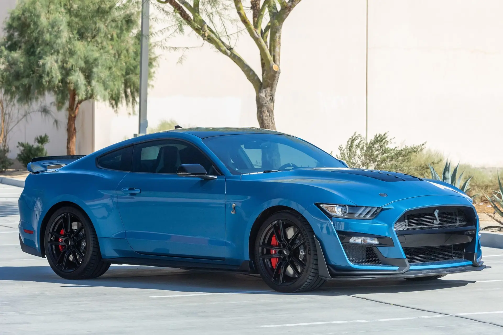 2020 Ford Mustang Shelby GT500