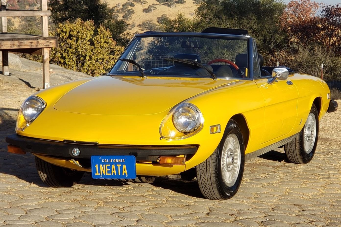 1978 Alfa Romeo 105 Series Spider