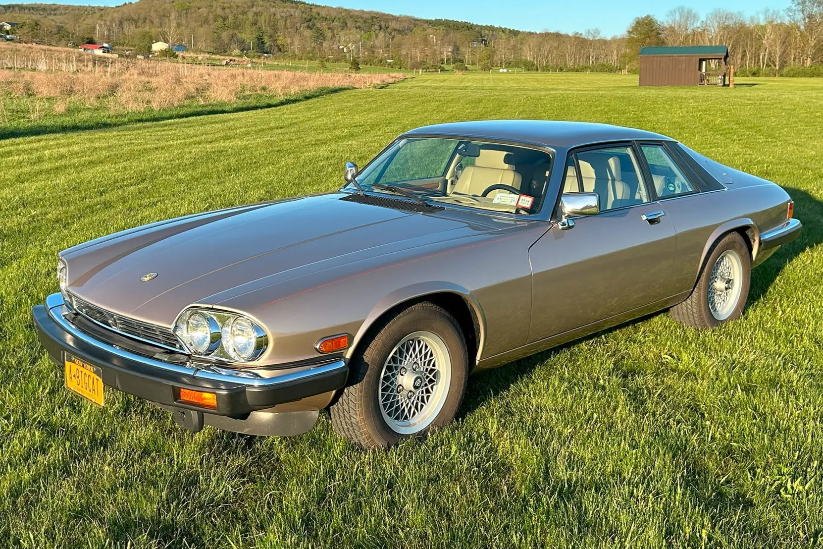 1991 Jaguar XJS