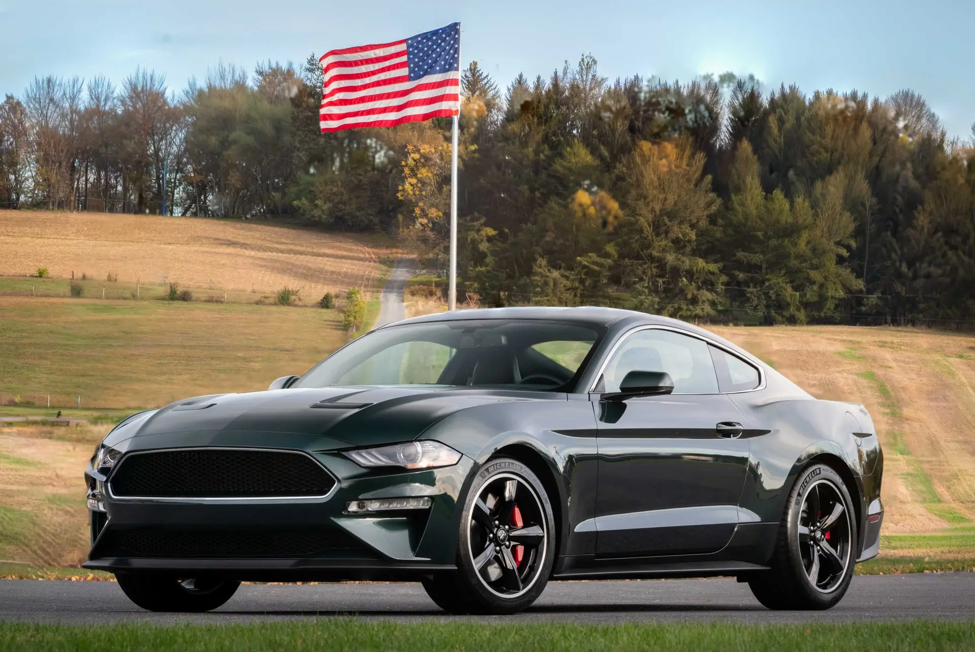 2019 Ford Mustang