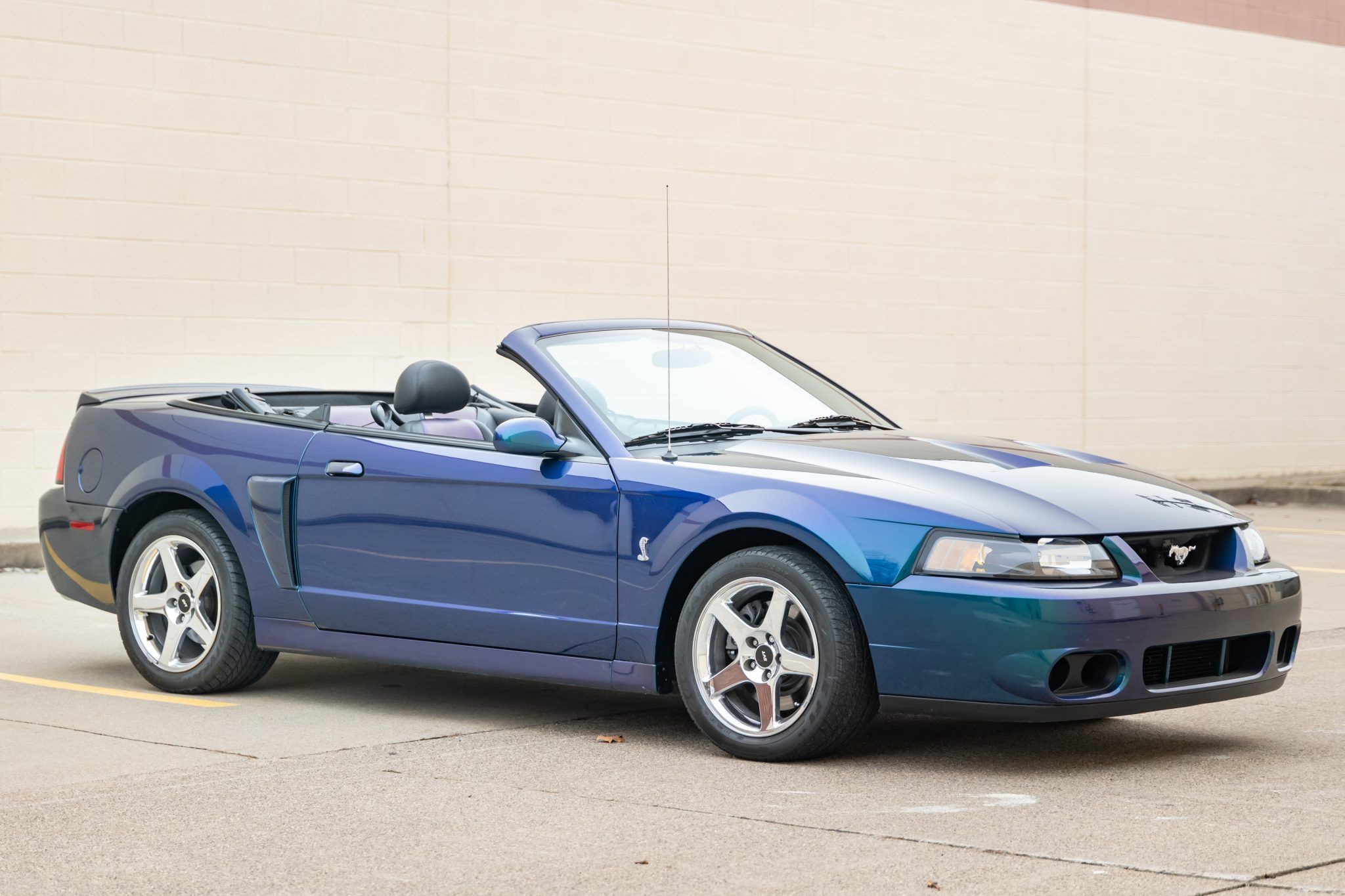 2004 Ford Mustang SVT Cobra