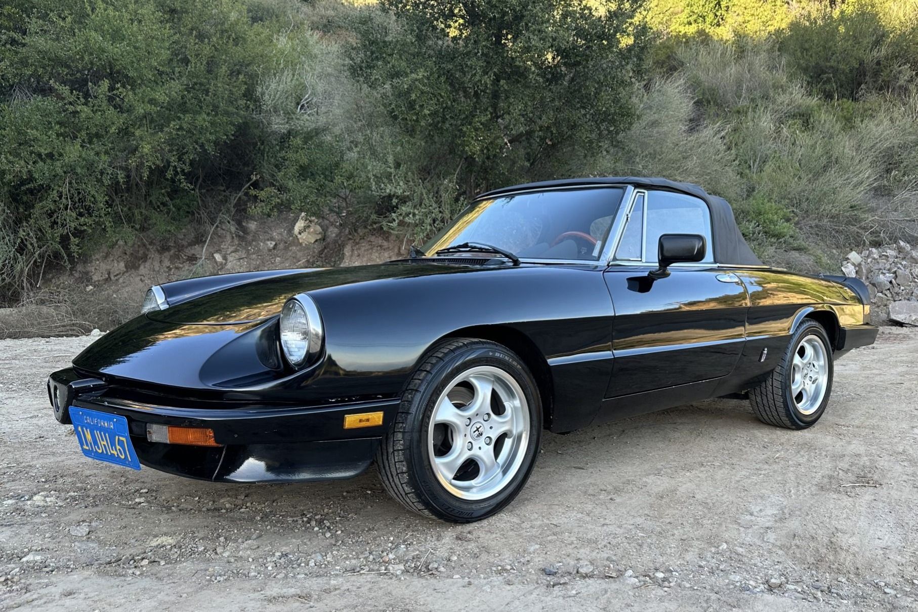 1985 Alfa Romeo Spider