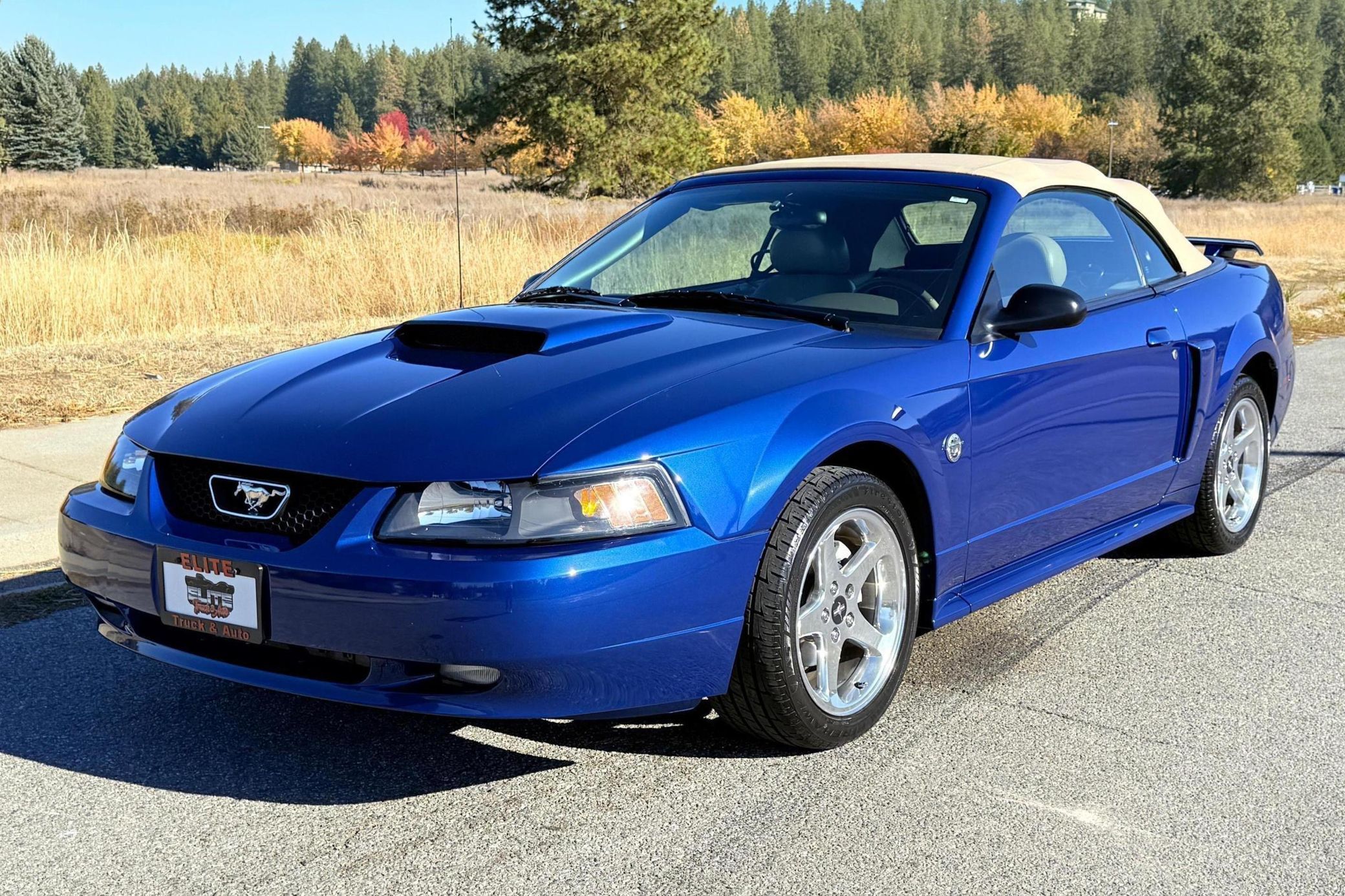 2004 Ford Mustang GT Convertible