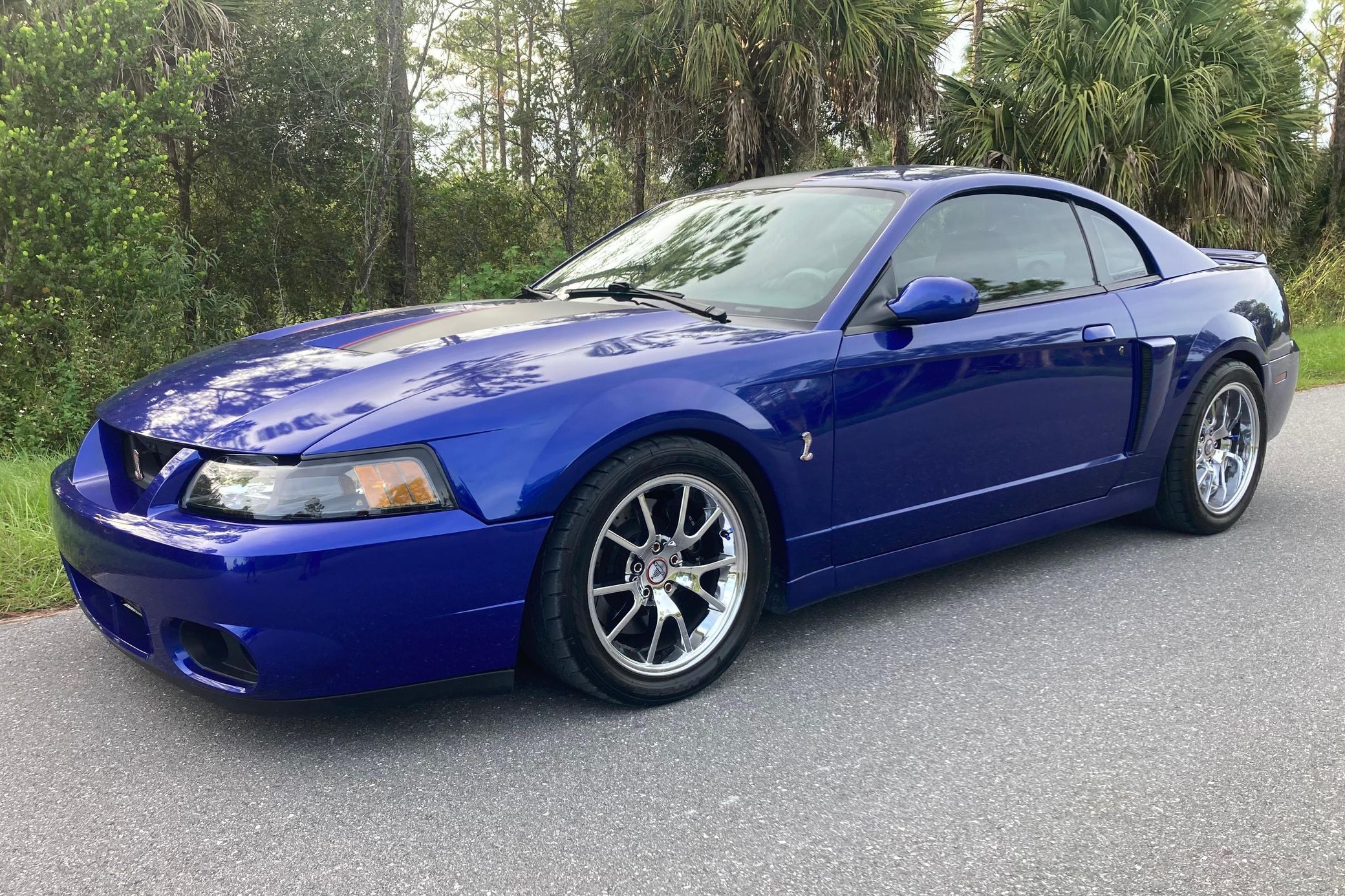 2003 Ford Mustang SVT Cobra
